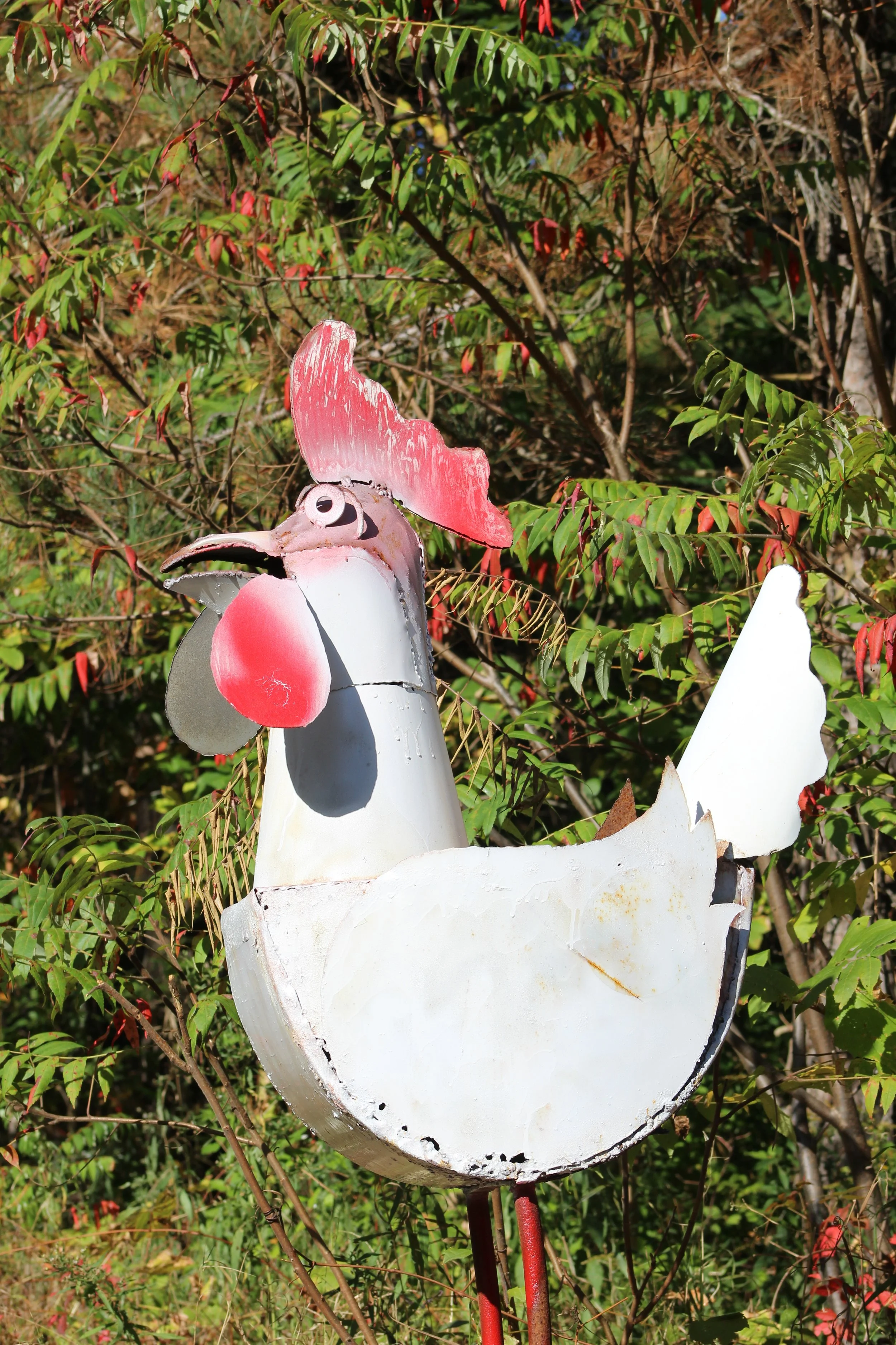 "Cluckin Chicken"   Rt 22 North Hillsdale, NY