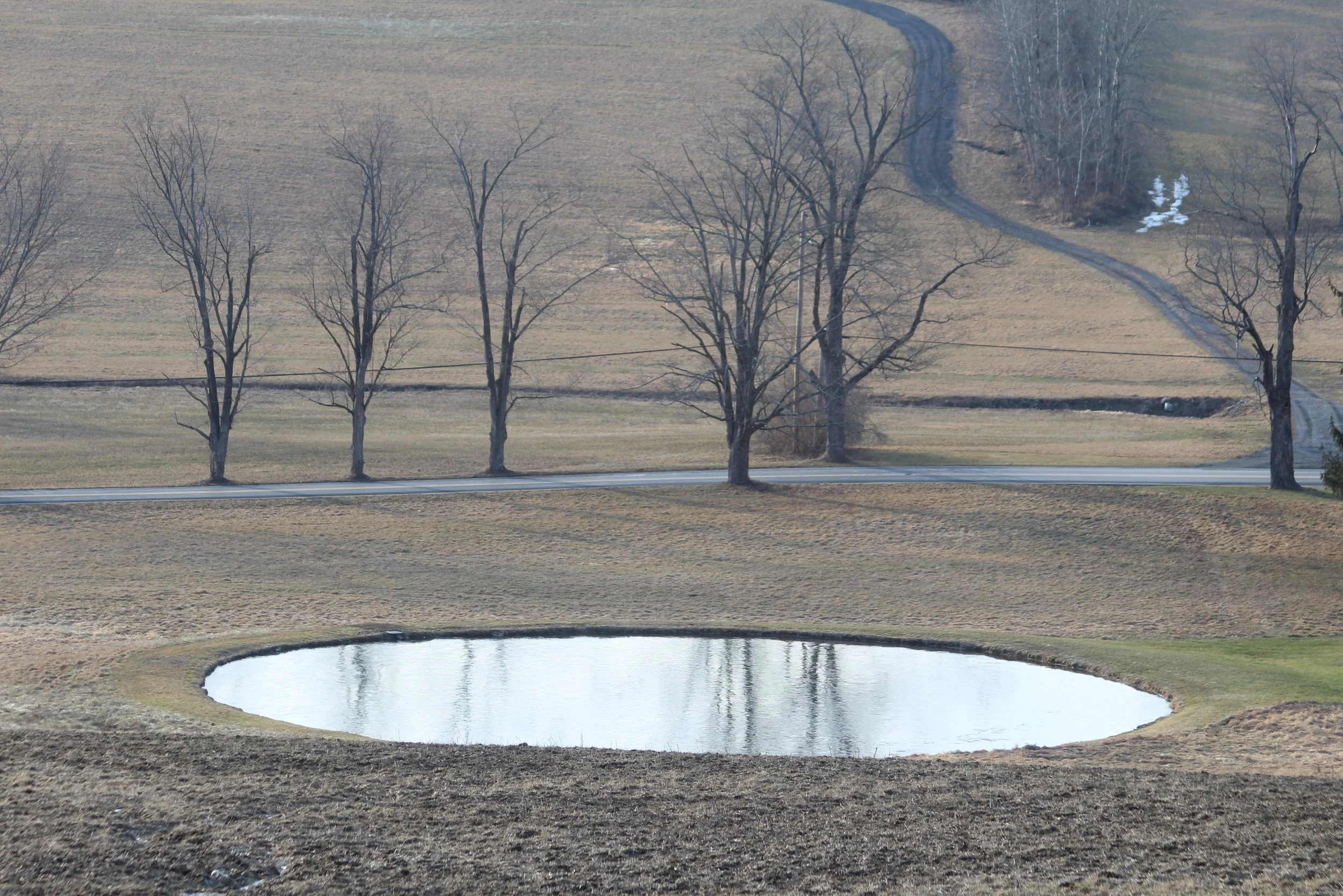 God's Eye       Rt 22  North Hillsdale, New York
