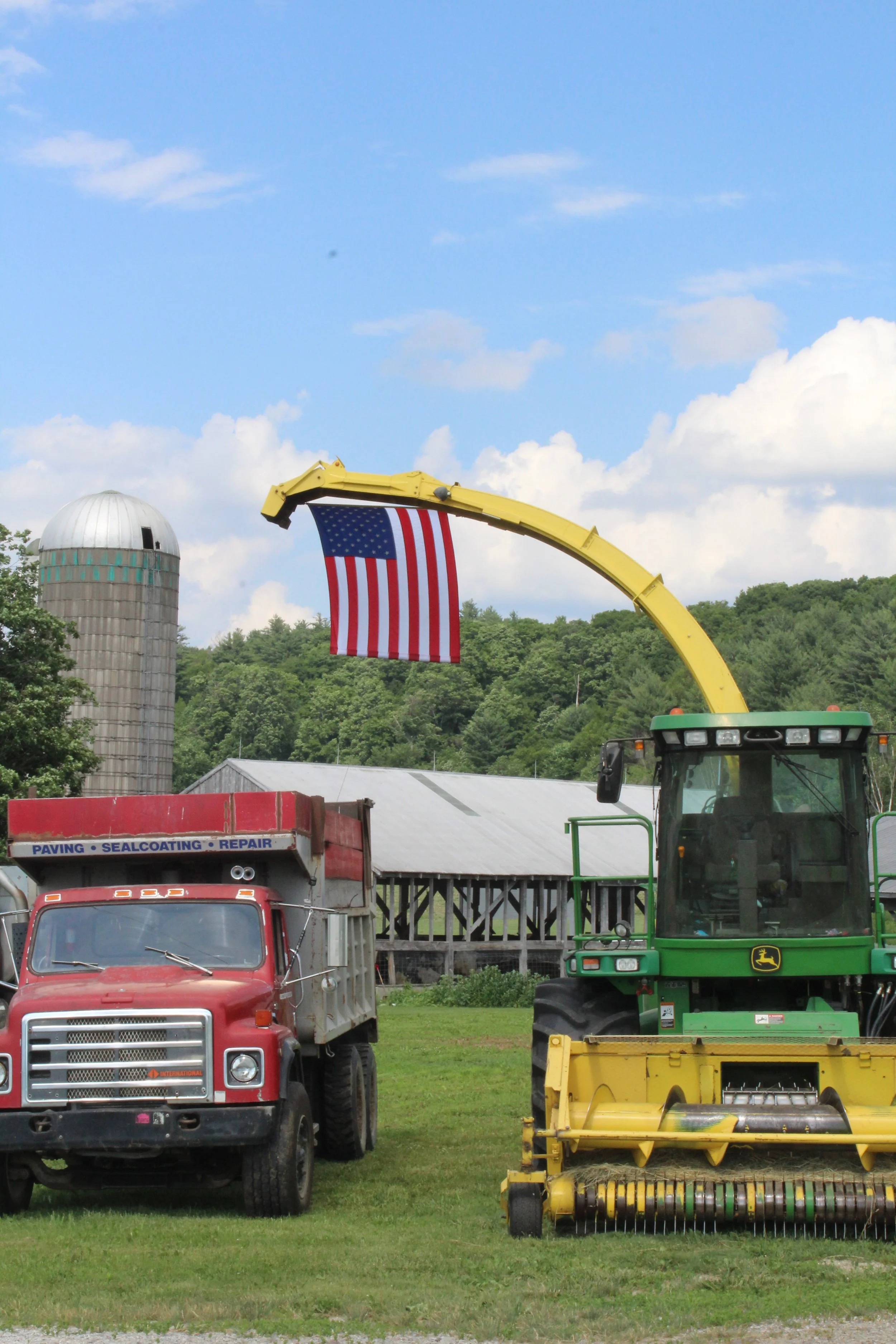 Flagpole               Tinmouth, Vermont