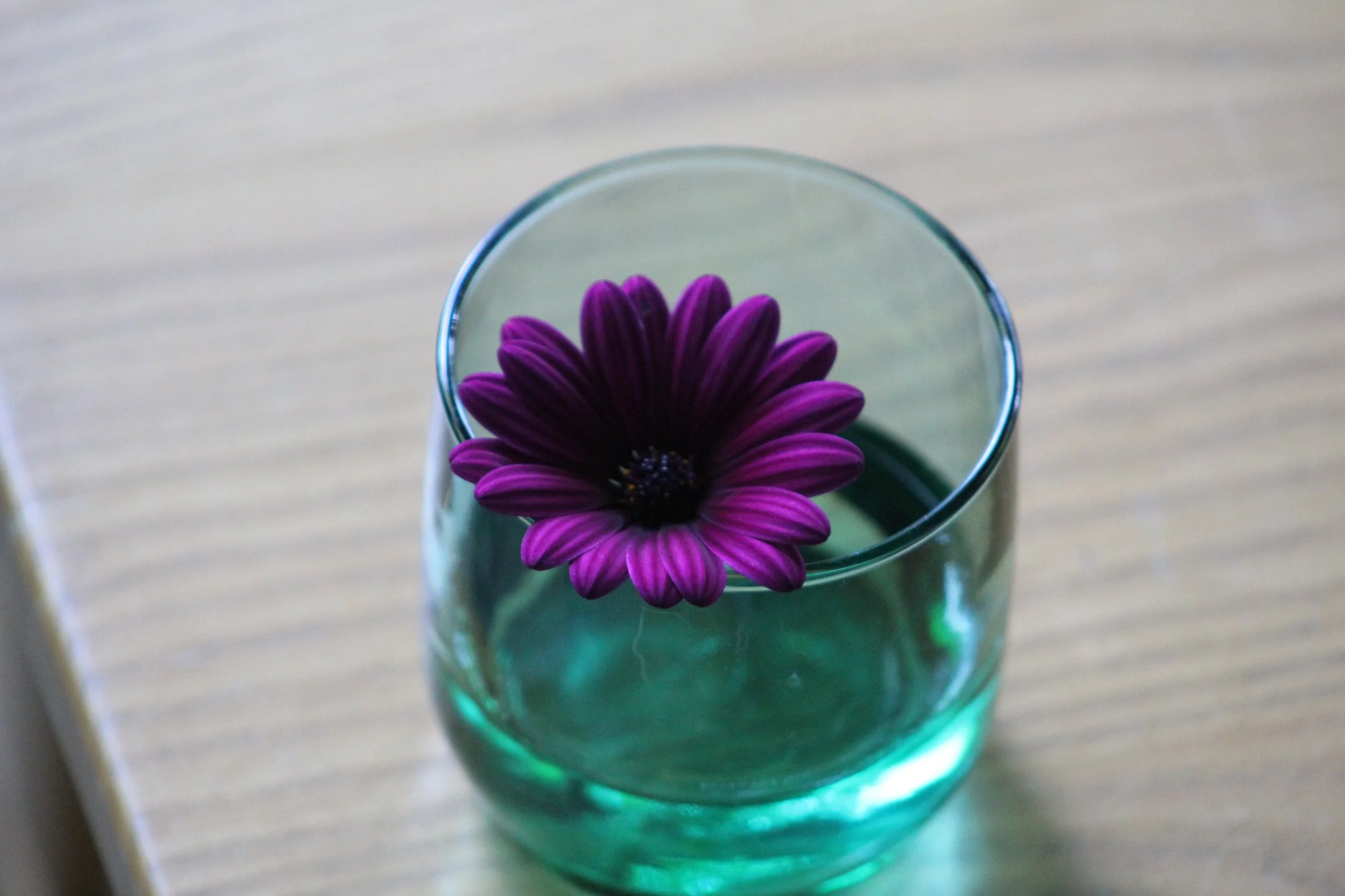 Intensity          Tinmouth Pond, Vermont