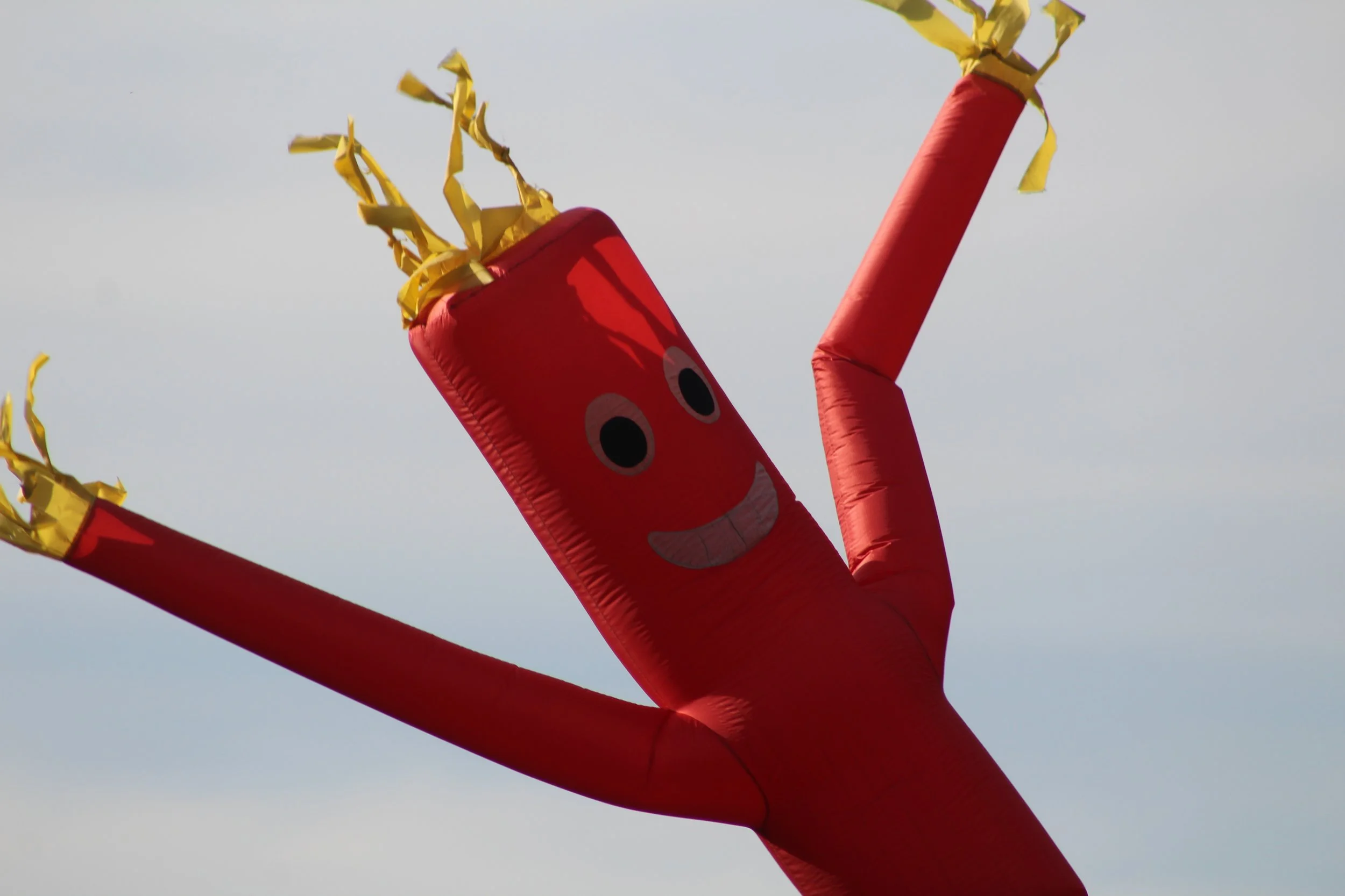 Flying High       Rt 22 Berlin, New York