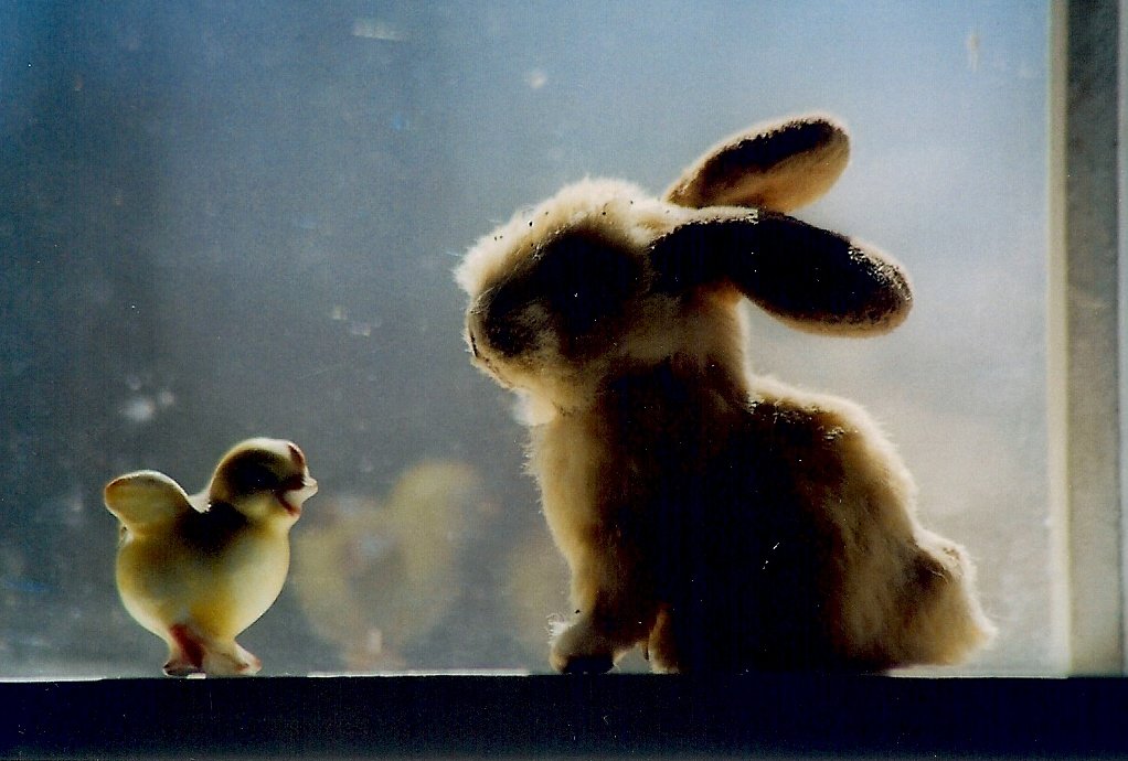 scan0410.jpg