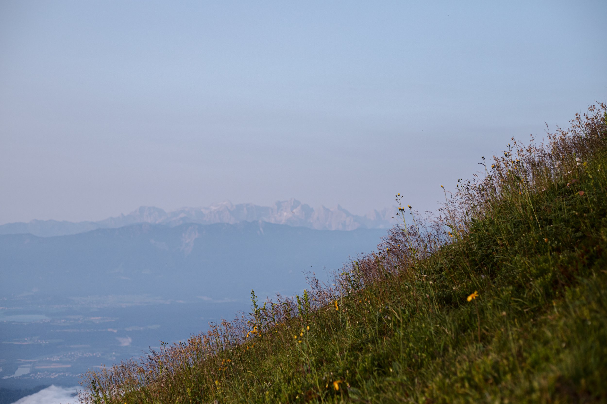 IMG_1075-2.jpg