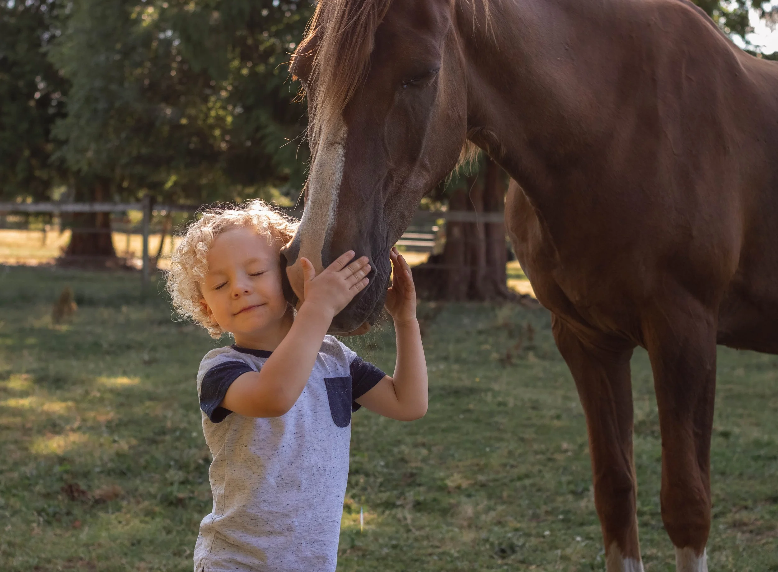 Family photos at home in Tumwater Washington with horses and kids.
