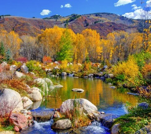 Leaf Peeping