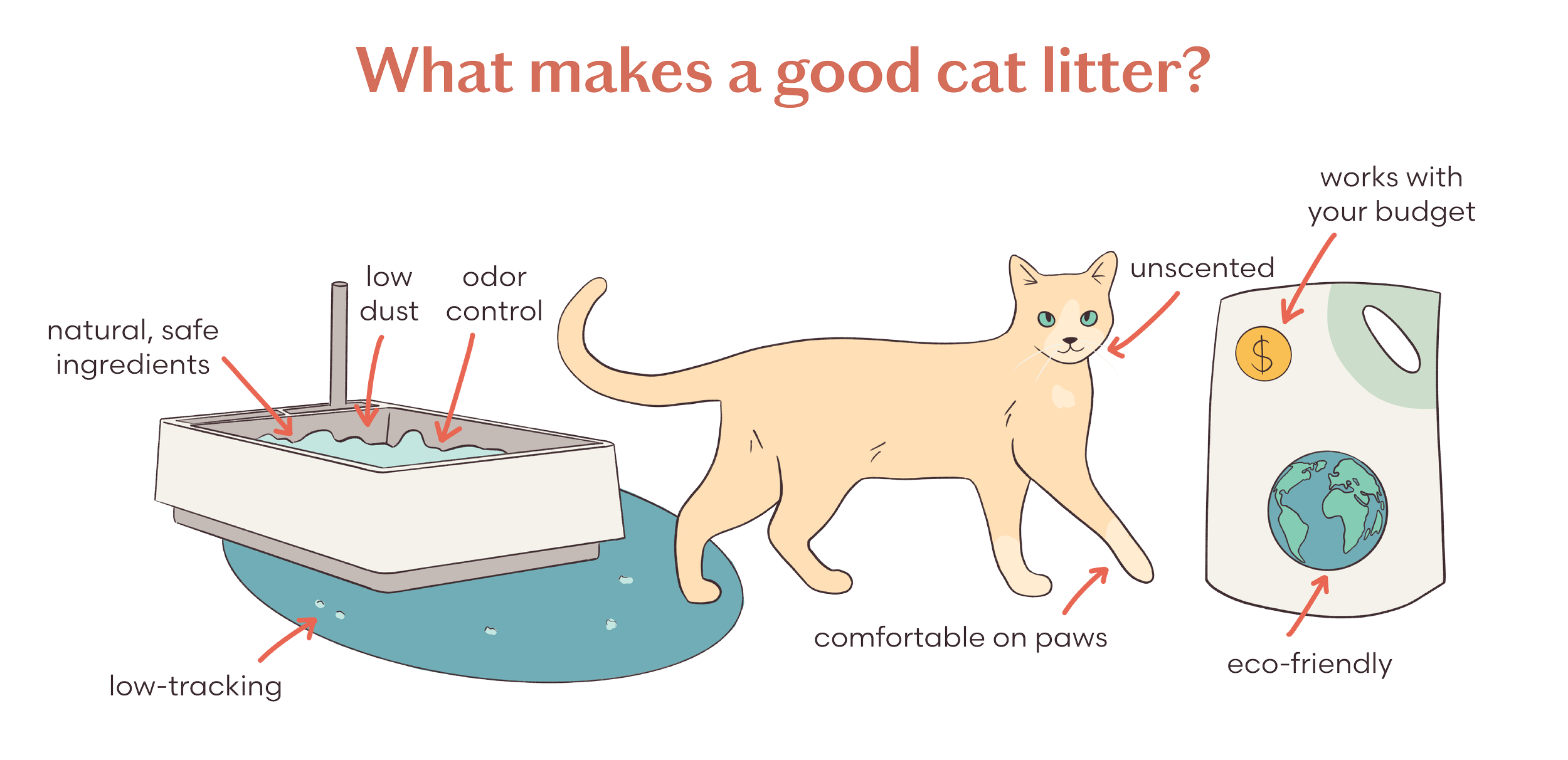 what makes a good cat litter_.png
