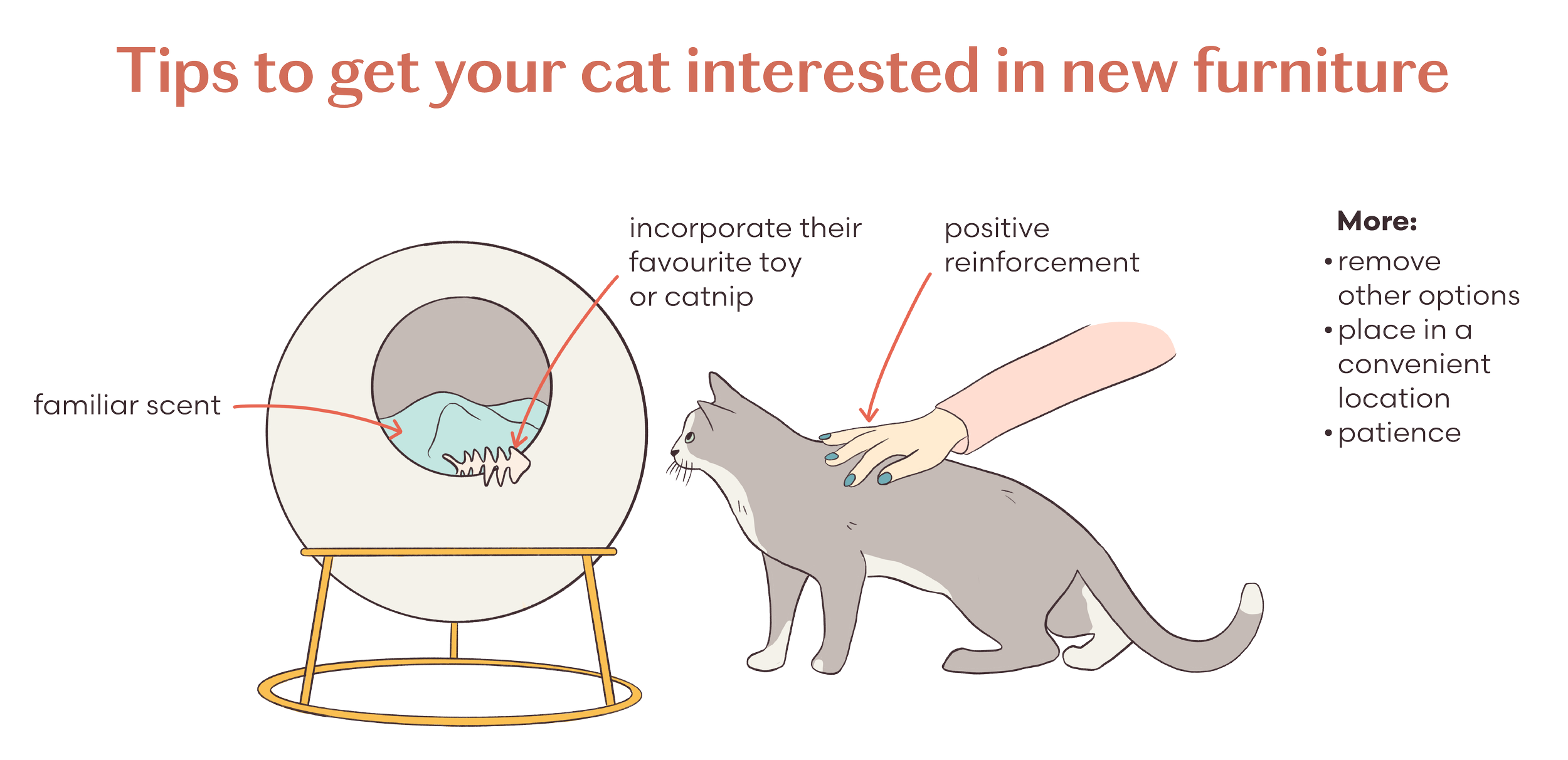 tips to get your cat intersted in new furniture.png