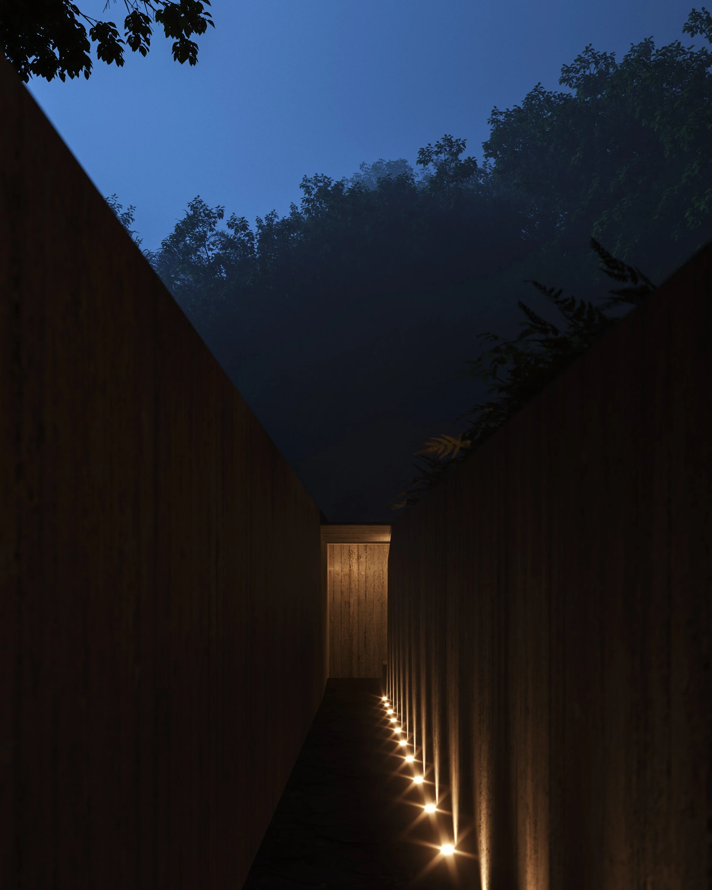 C02_NOTURNA_R02_EDIT.jpg