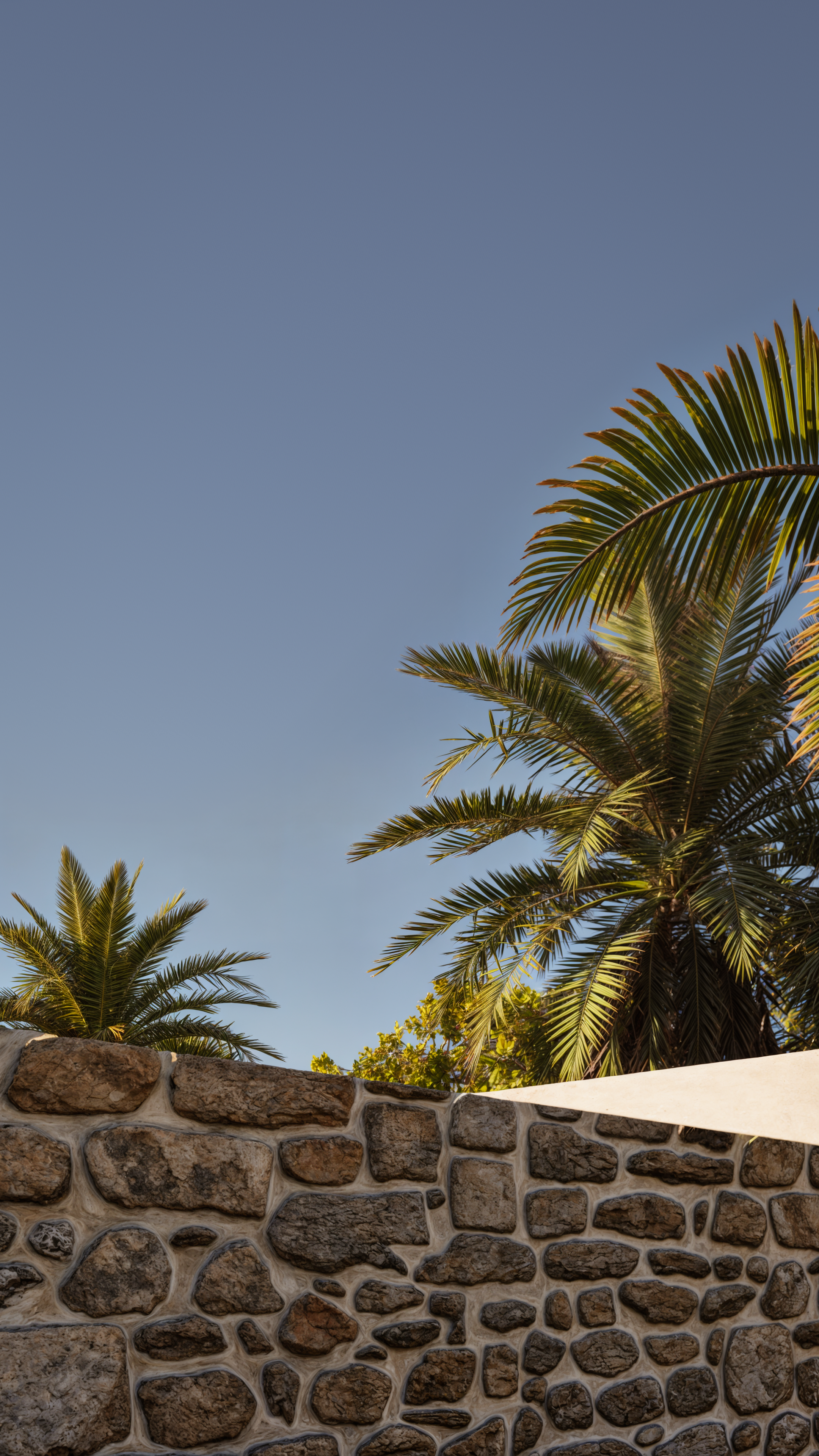 Imagem22 - Final.png