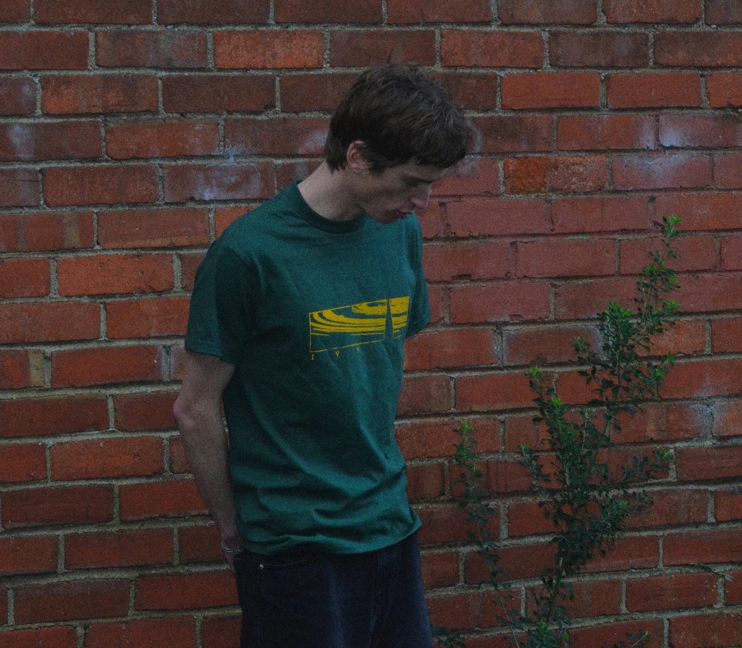 DSC_3779edit.jpg