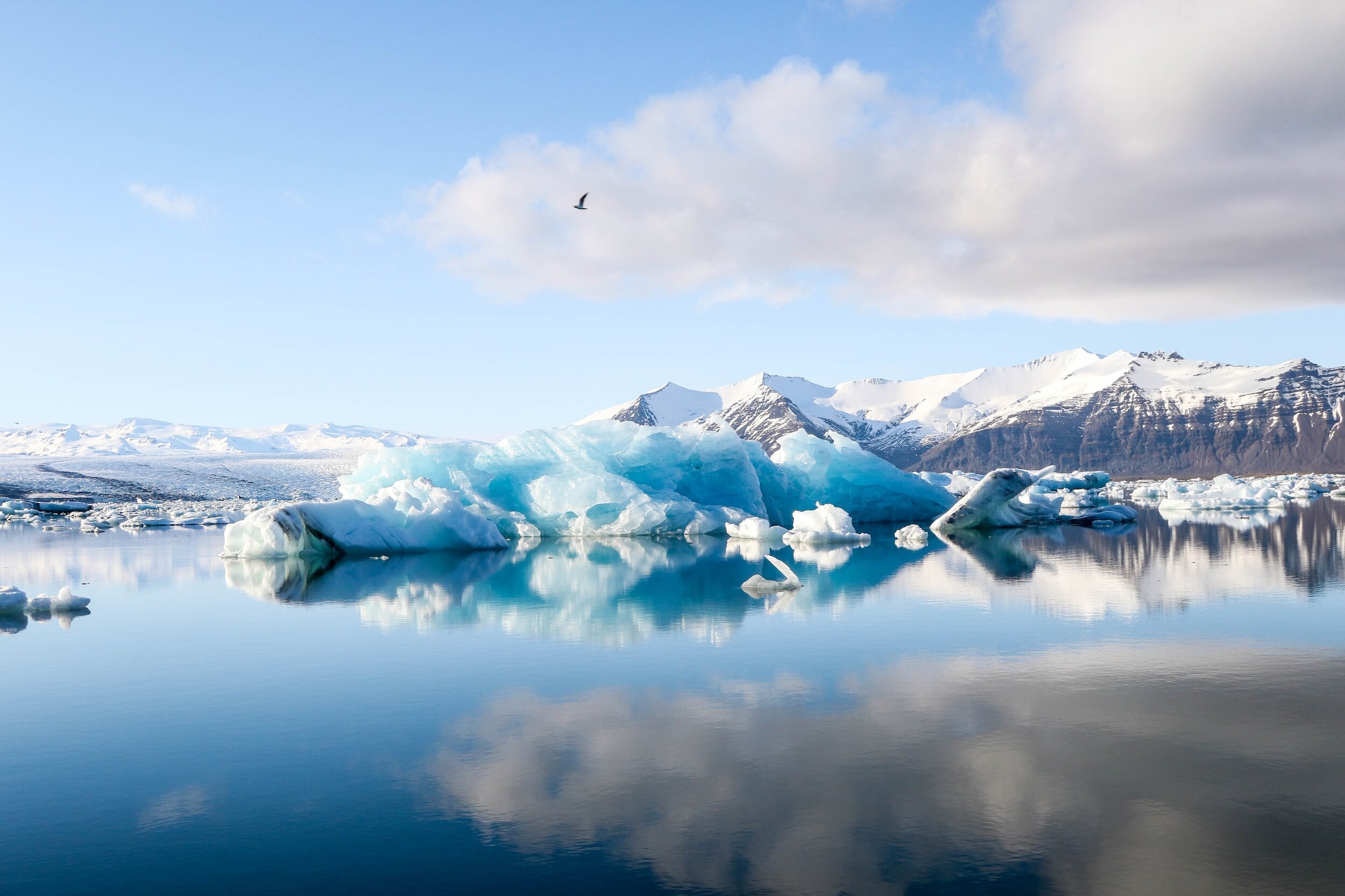A polar landscape with icebergs floating in calm water, snow-covered mountains in the background, and a bird flying in the sky.