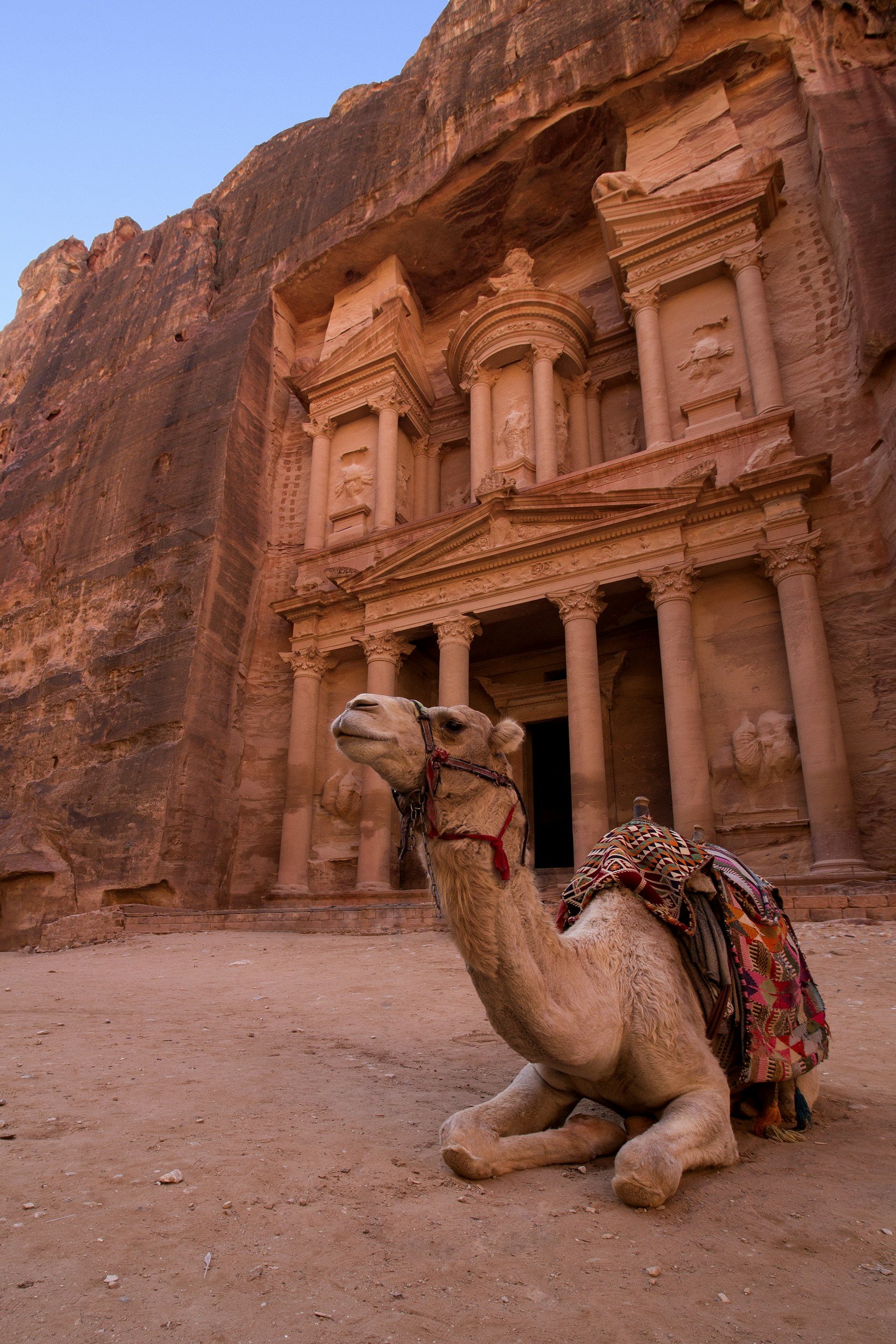 A camel with colorful textiles and hanging decorations is sitting in front of the ancient rock-cut tombs of Petra in Jordan.