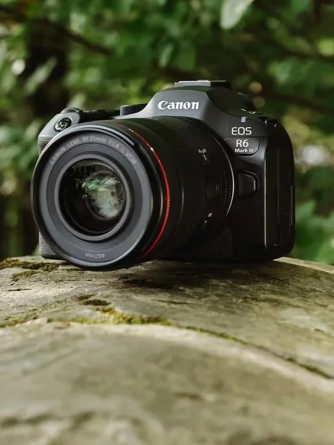 A Canon EOS R6 Mark III camera resting on a weathered wooden surface with a leafy background.