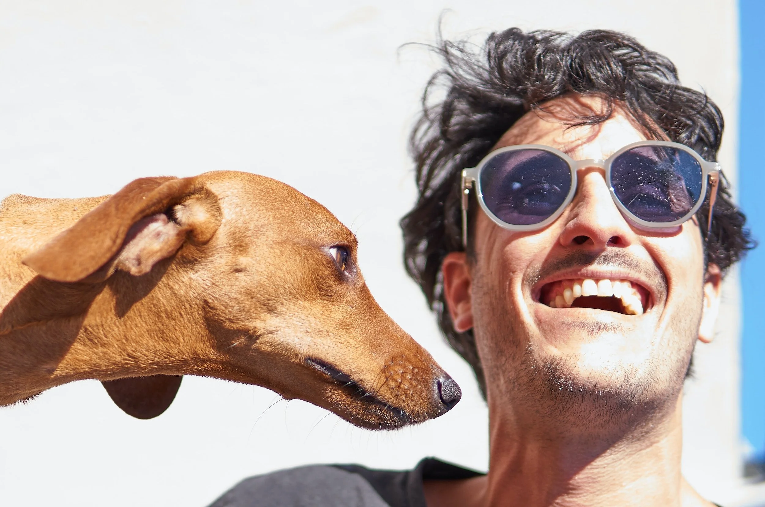 A man with dark curly hair wearing sunglasses, smiling, with a brown dog close to his face.
