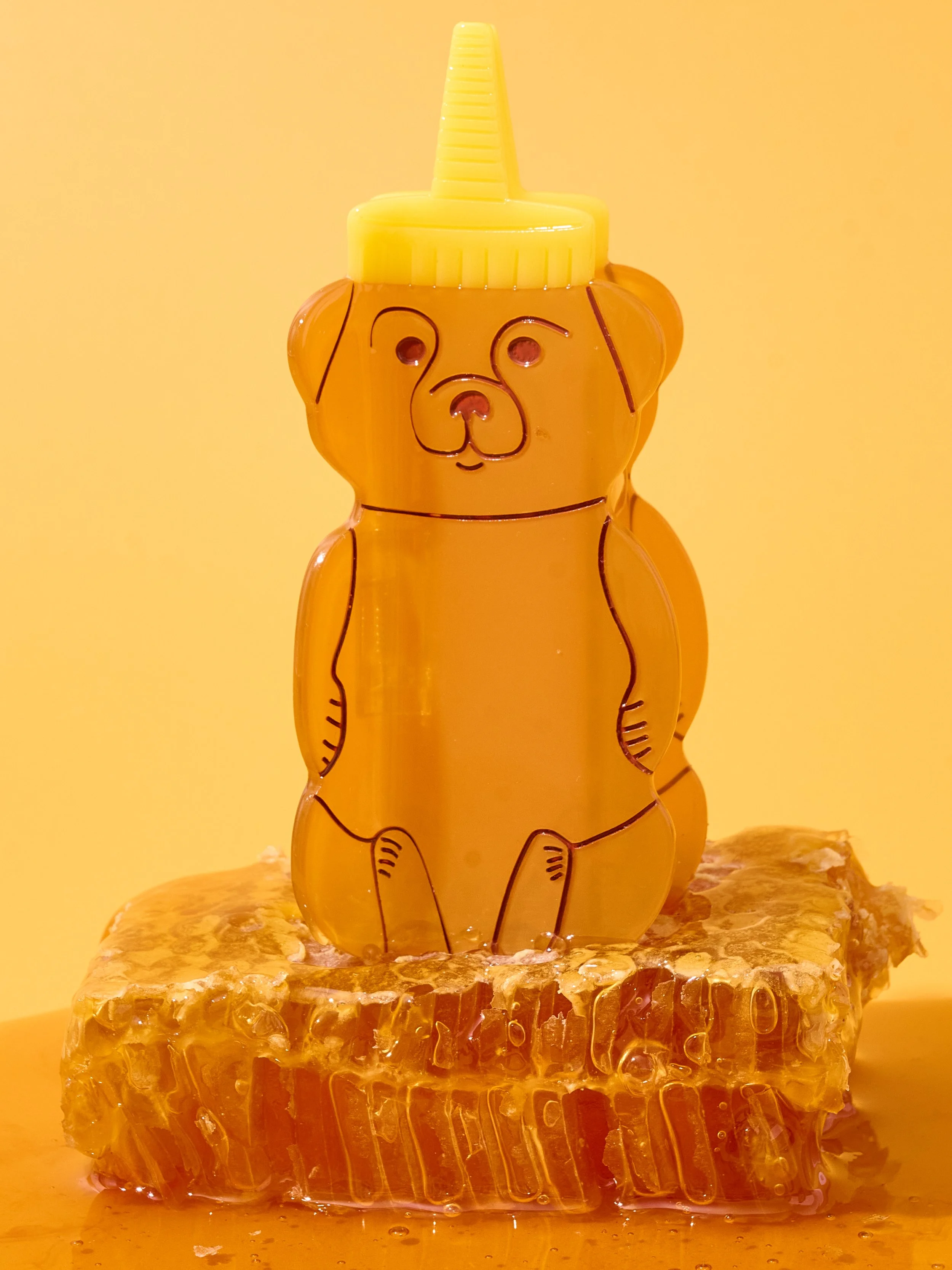 Jenny-Lemons_Honey-Bear-Midi.jpg