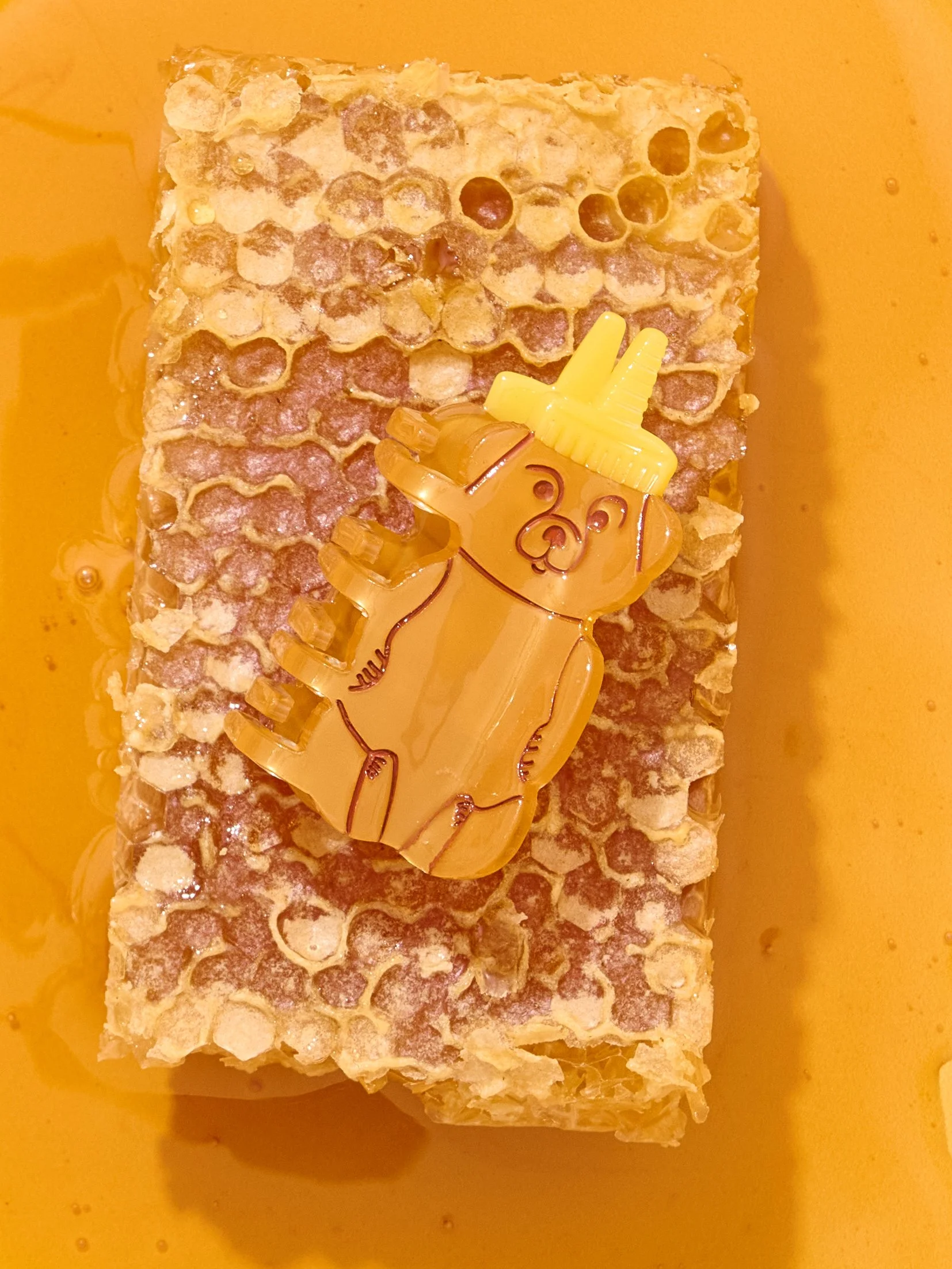Jenny-Lemons_Honey-Bear-Mini.jpg