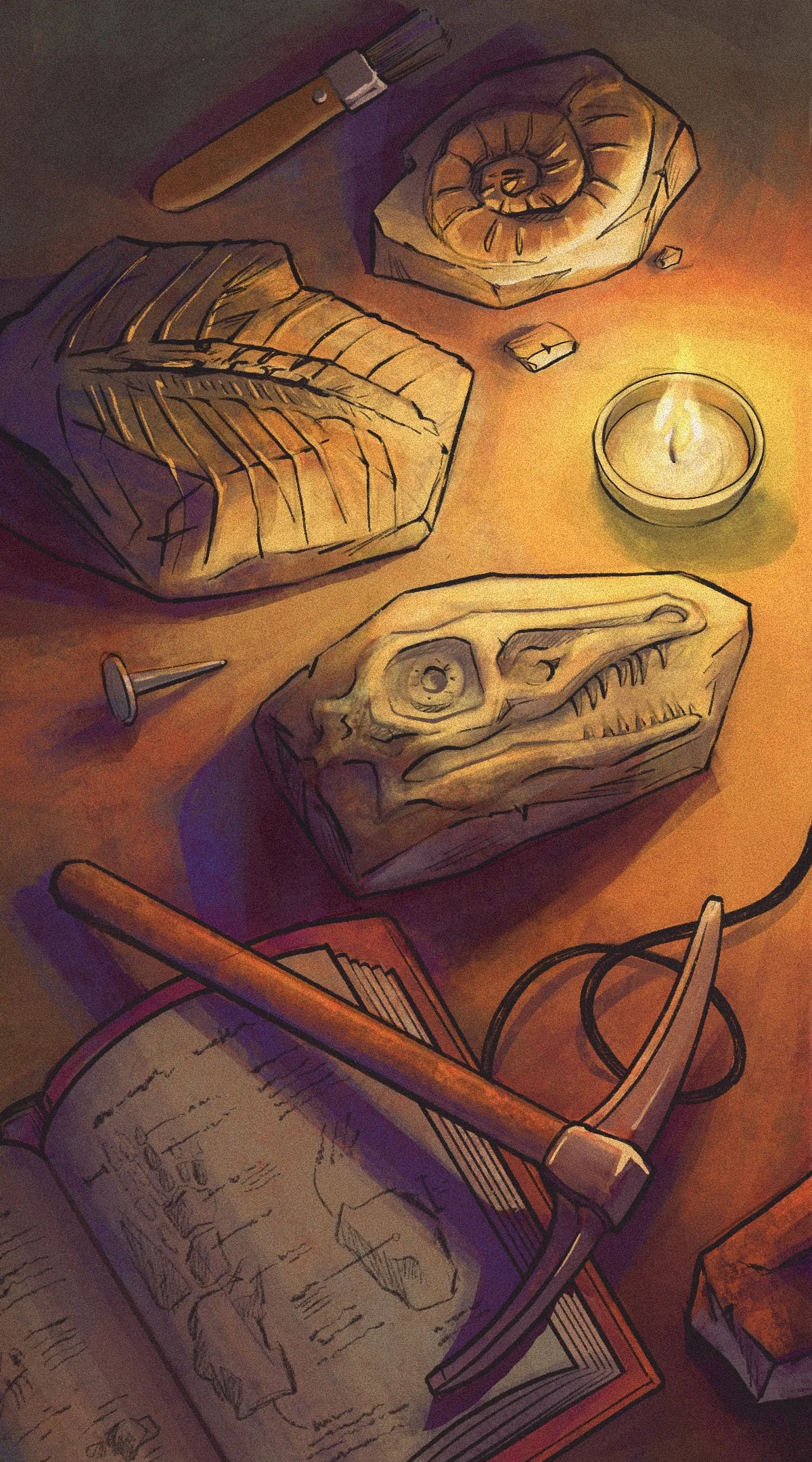 Illustration of Mary Anning’s worktable in her kitchen, showing fossils, ammonites, rock samples, tools, a notebook, a pickaxe, and a candle arranged for study and fossil preparation.