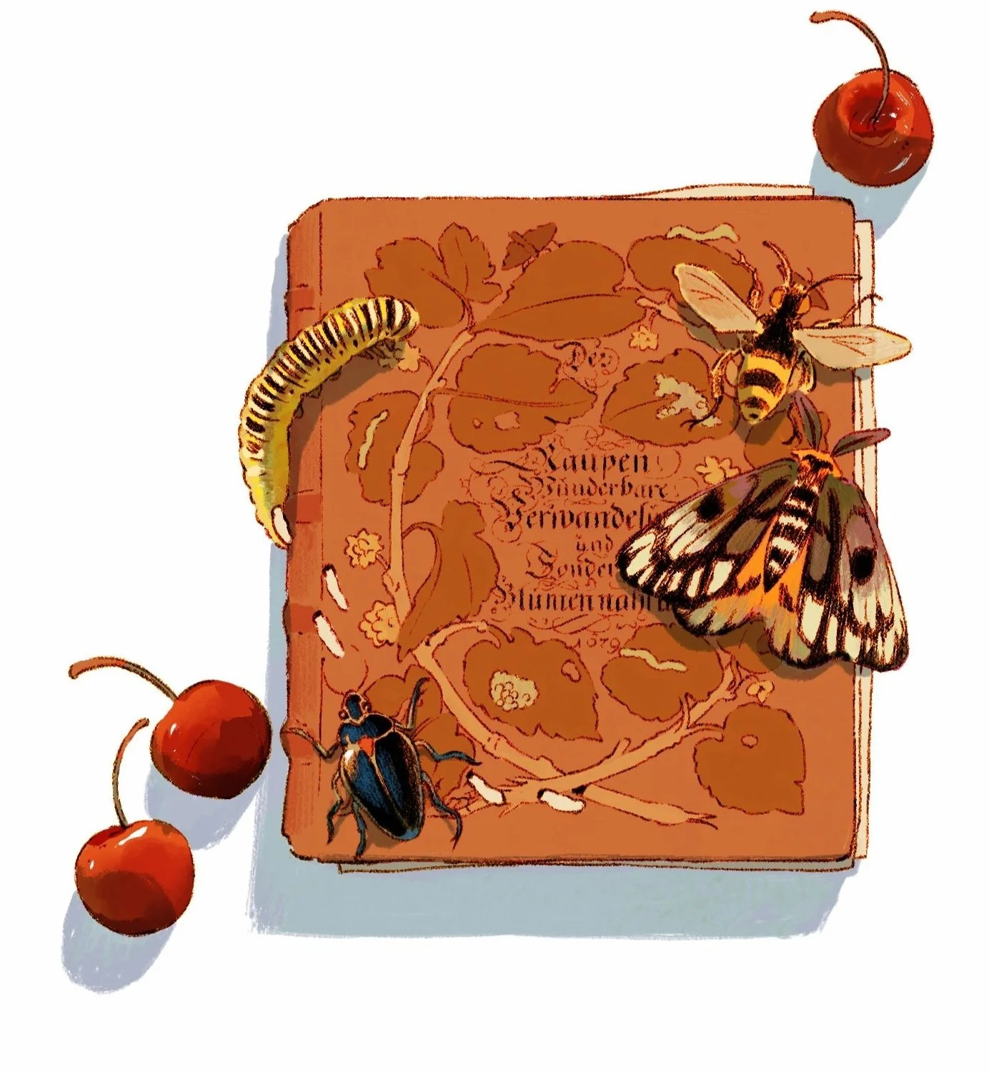 Cover of Merian’s 1679 book, surrounded by illustrated insects and fruits from inside the publication.