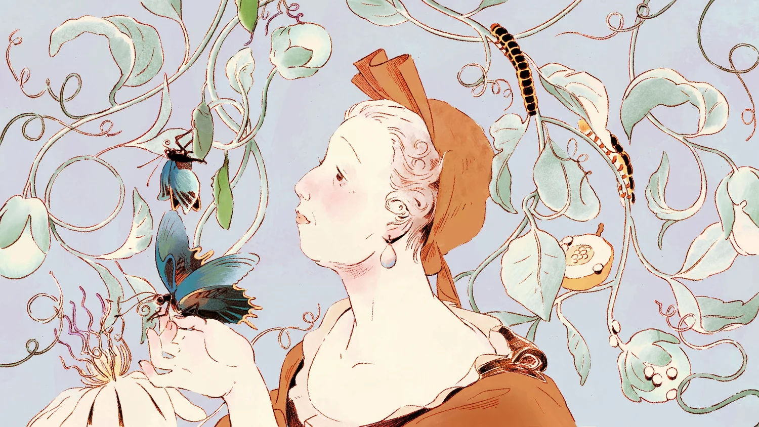 Project Maria Maria Sibylla Merian | Entomology Pioneer & Scientific Illustrator ...