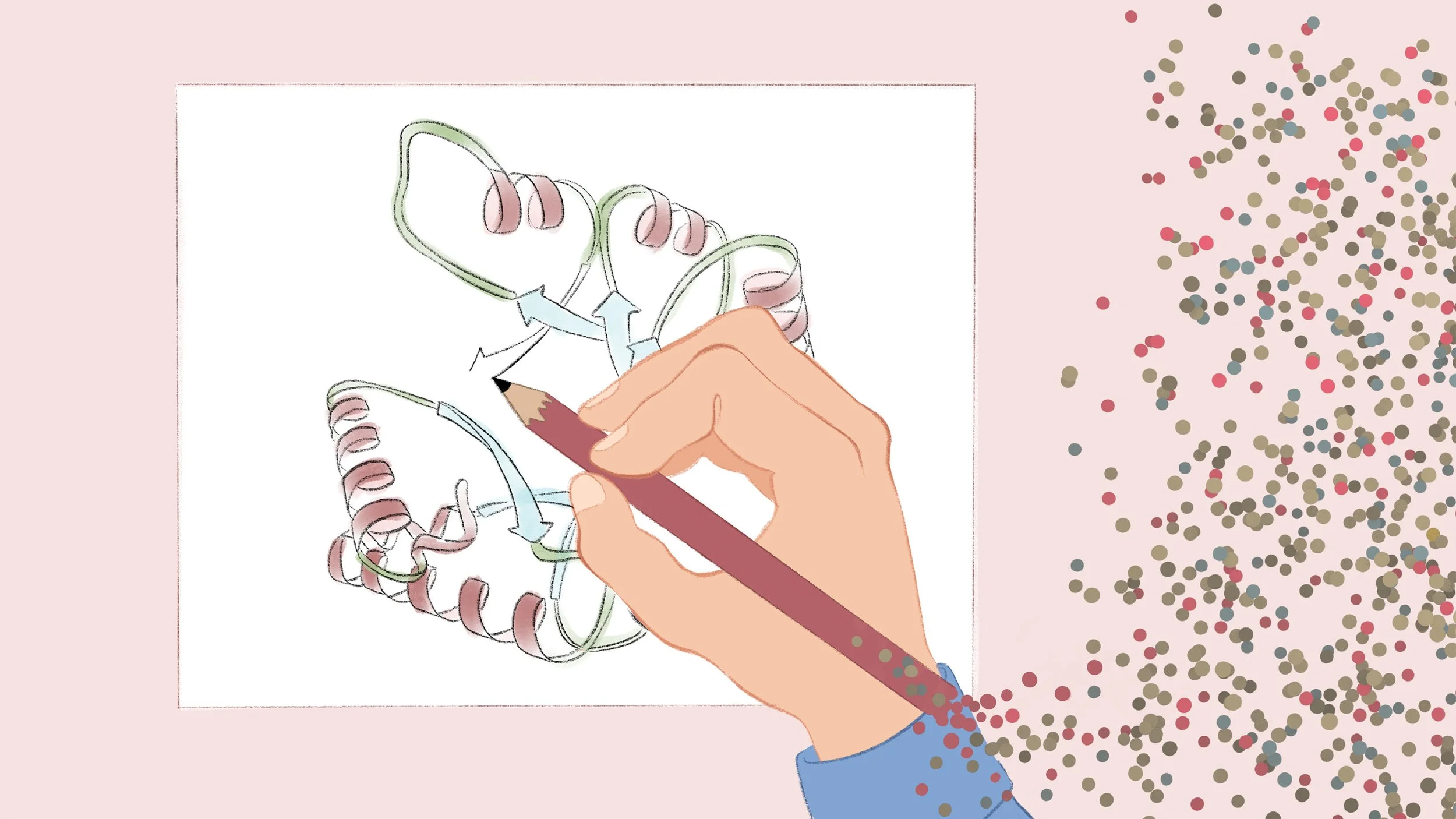 Jane Richardson | Pioneer of Protein Ribbon Diagrams - Illustrated ...