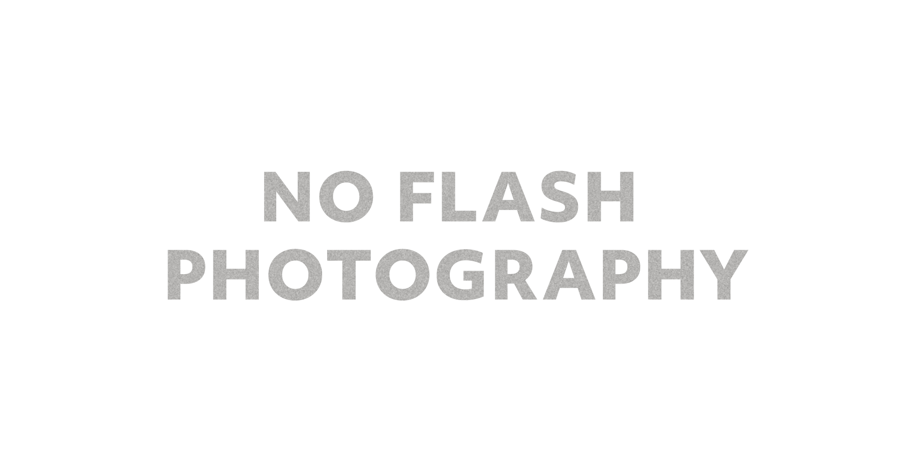 Gray text reading "No Flash Photography" on a white background.