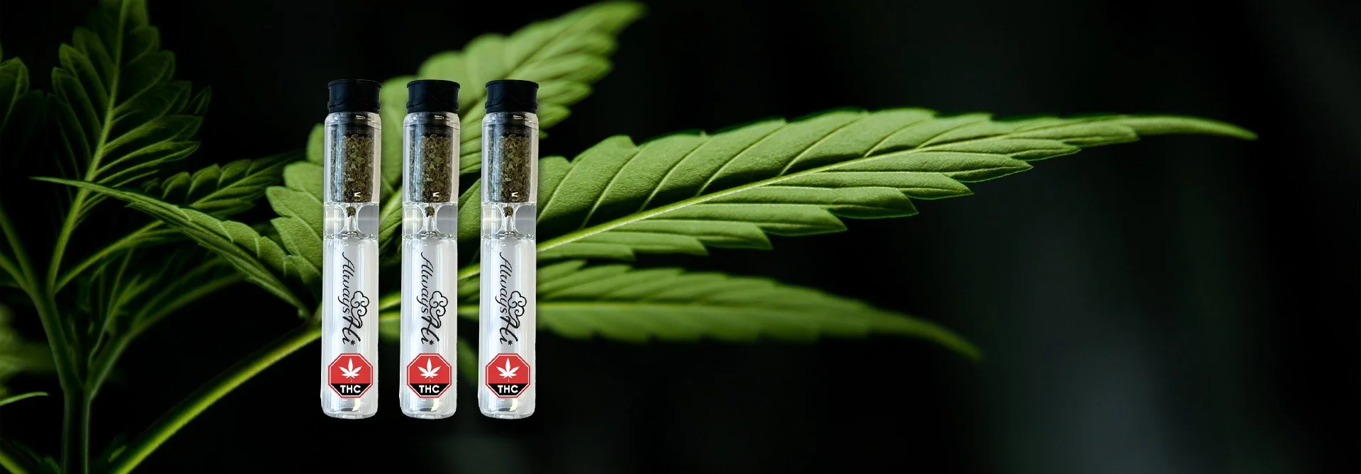 Always Hi Glass Prerolls