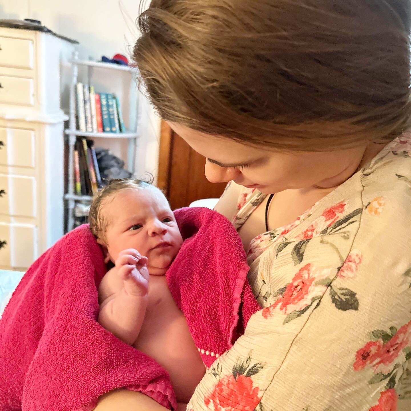 Homebirth midwife Serving Scranton, Moscow, Carbondale, Honesdale, Hawley, Clarks Summit.