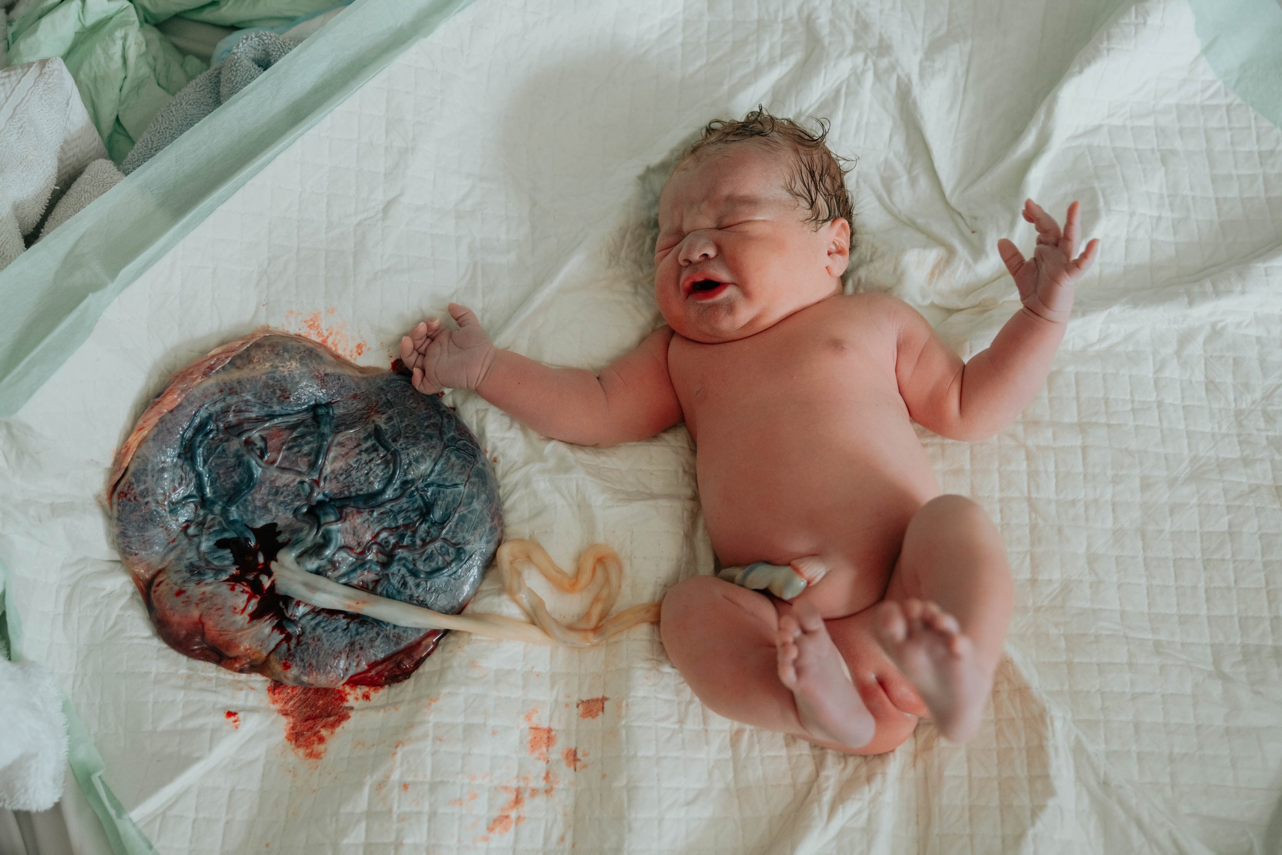 Homebirth midwife Serving Scranton, Moscow, Carbondale, Honesdale, Hawley, Clarks Summit.