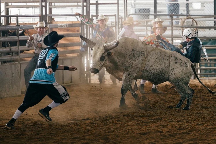 Rockin' S Rodeo Photos