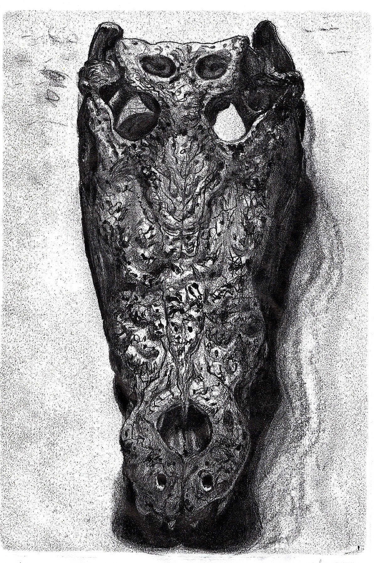'Ghost of the saltie', 1/1 monotype. ink on mulberry paper, 225mm x 150mm (image size)
