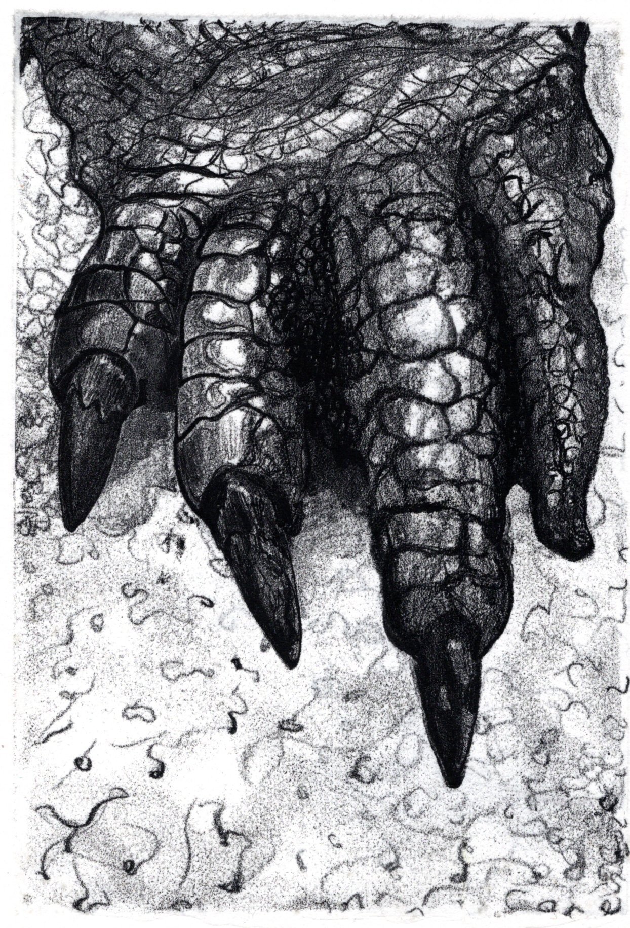 '200 million years'
1/1 monotype. ink on mulberry paper, 225mm x 150mm (image size)