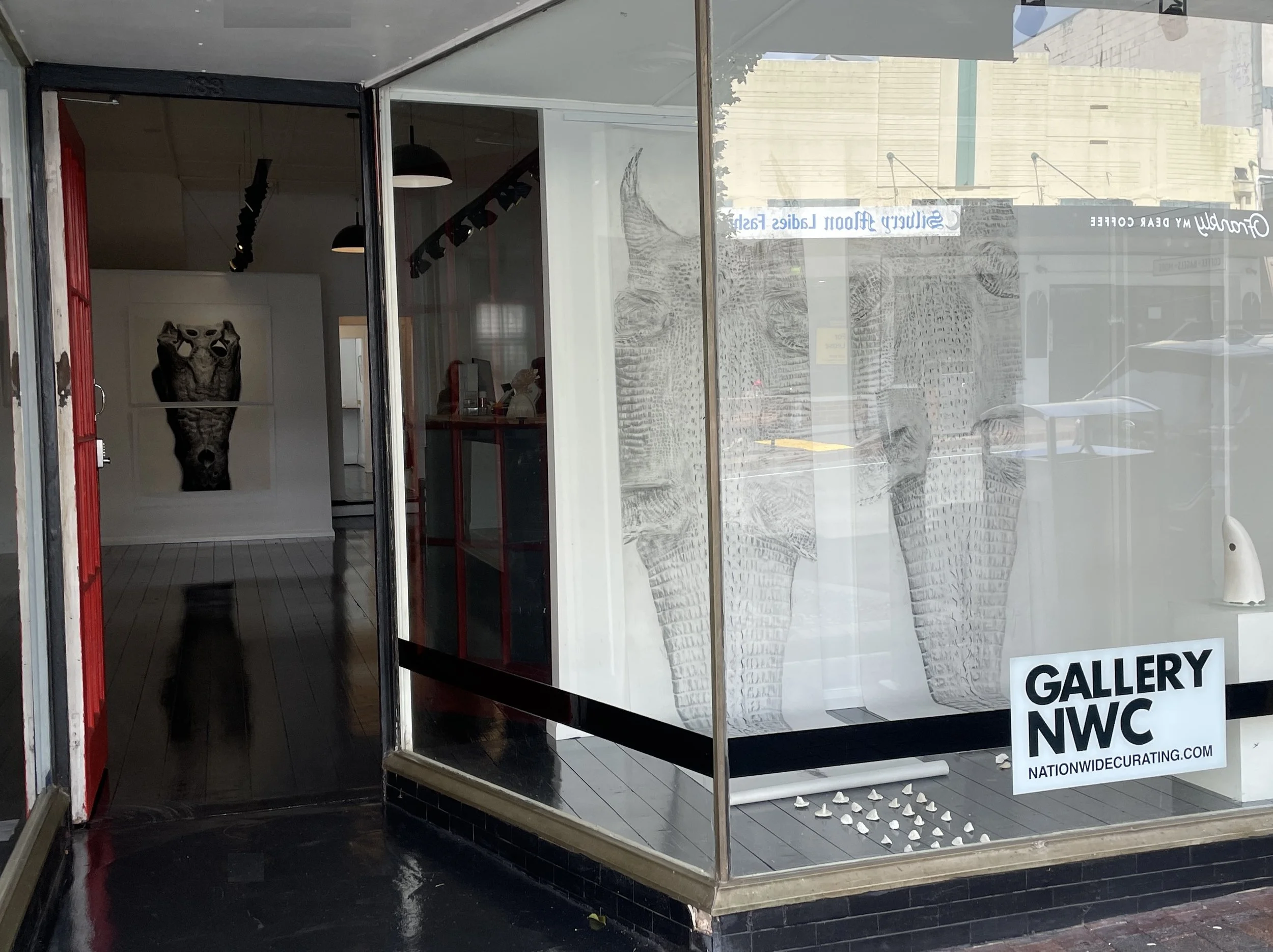 Skin & Bone Northern Territory Crocodile -  Solo Debut Exhibition (Gallery NWC, Katoomba 2024)