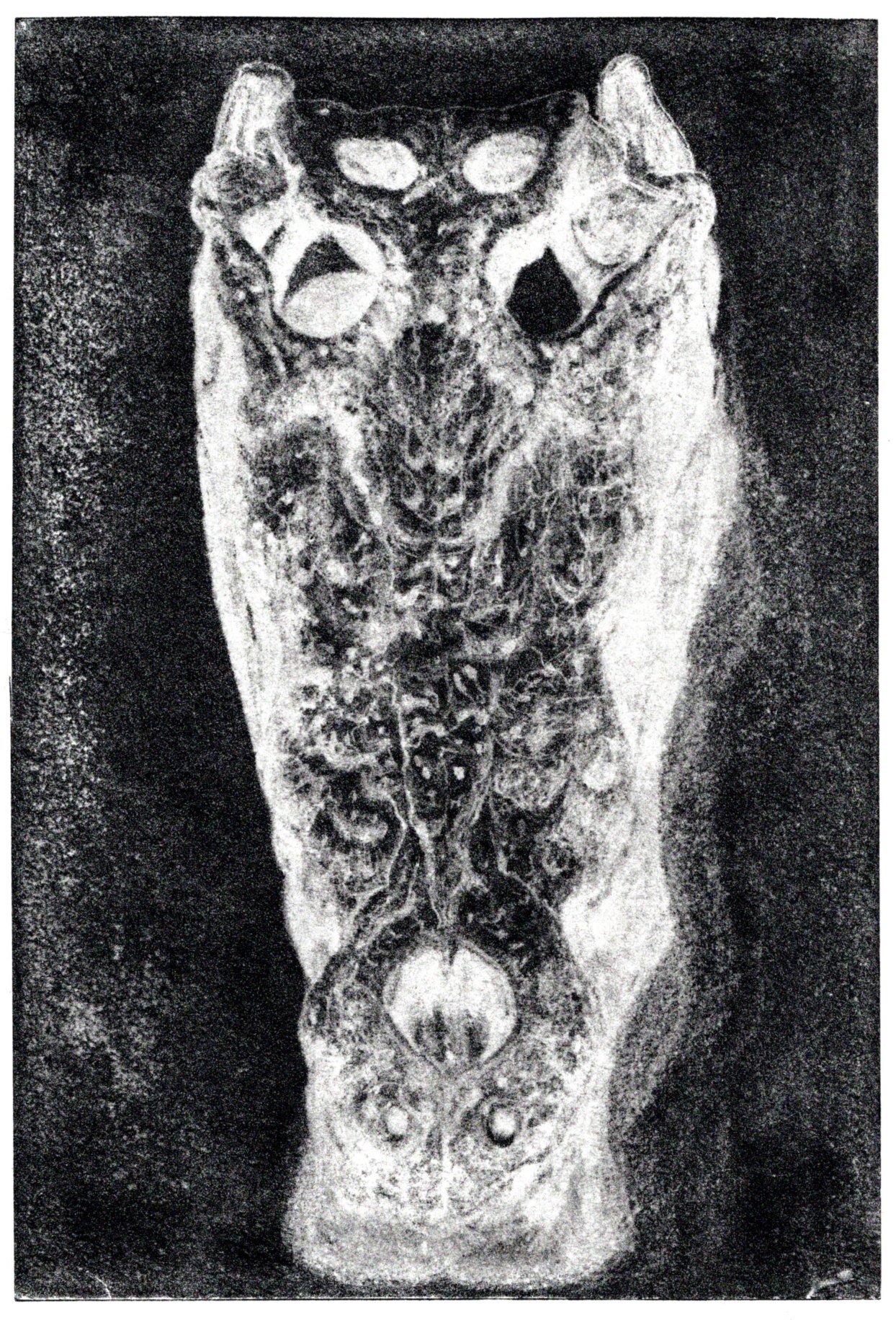 'Ghost of the ghost', 1/1 monotype. ink on mulberry paper, 225mm x 150mm (image size)