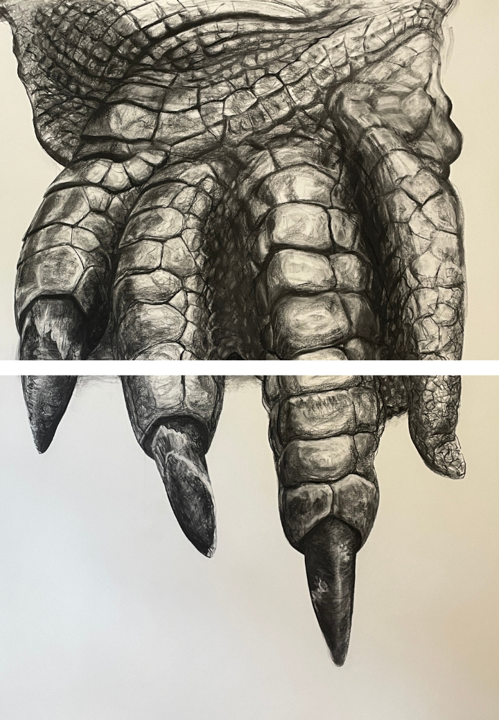 'Power', charcoal on 300gsm 100% cotton,
1638mm x 1094mm diptych