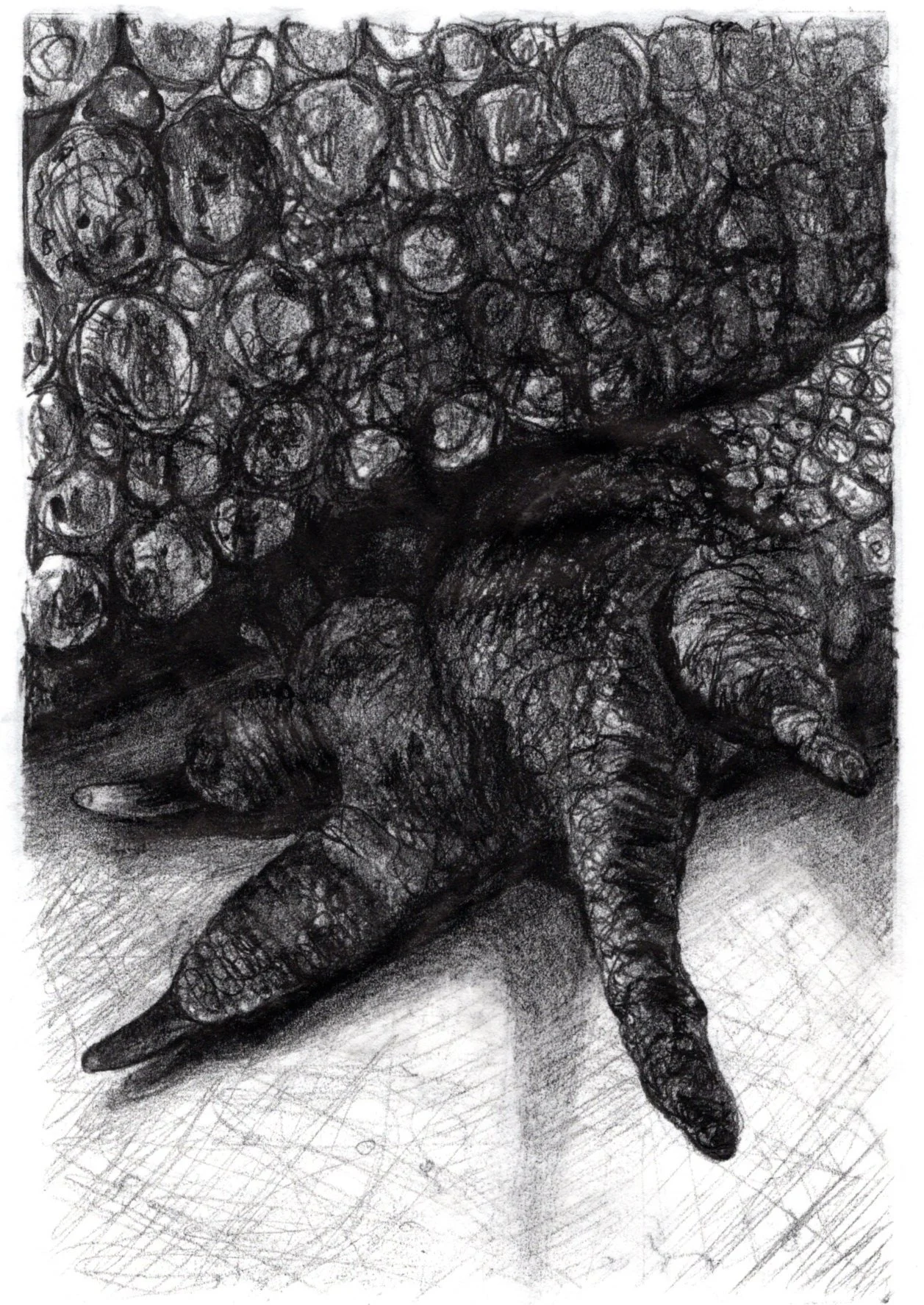 14_Tri-claw_tmono_ink on mulberry_225x150mm_Katrina Bodey..jpg