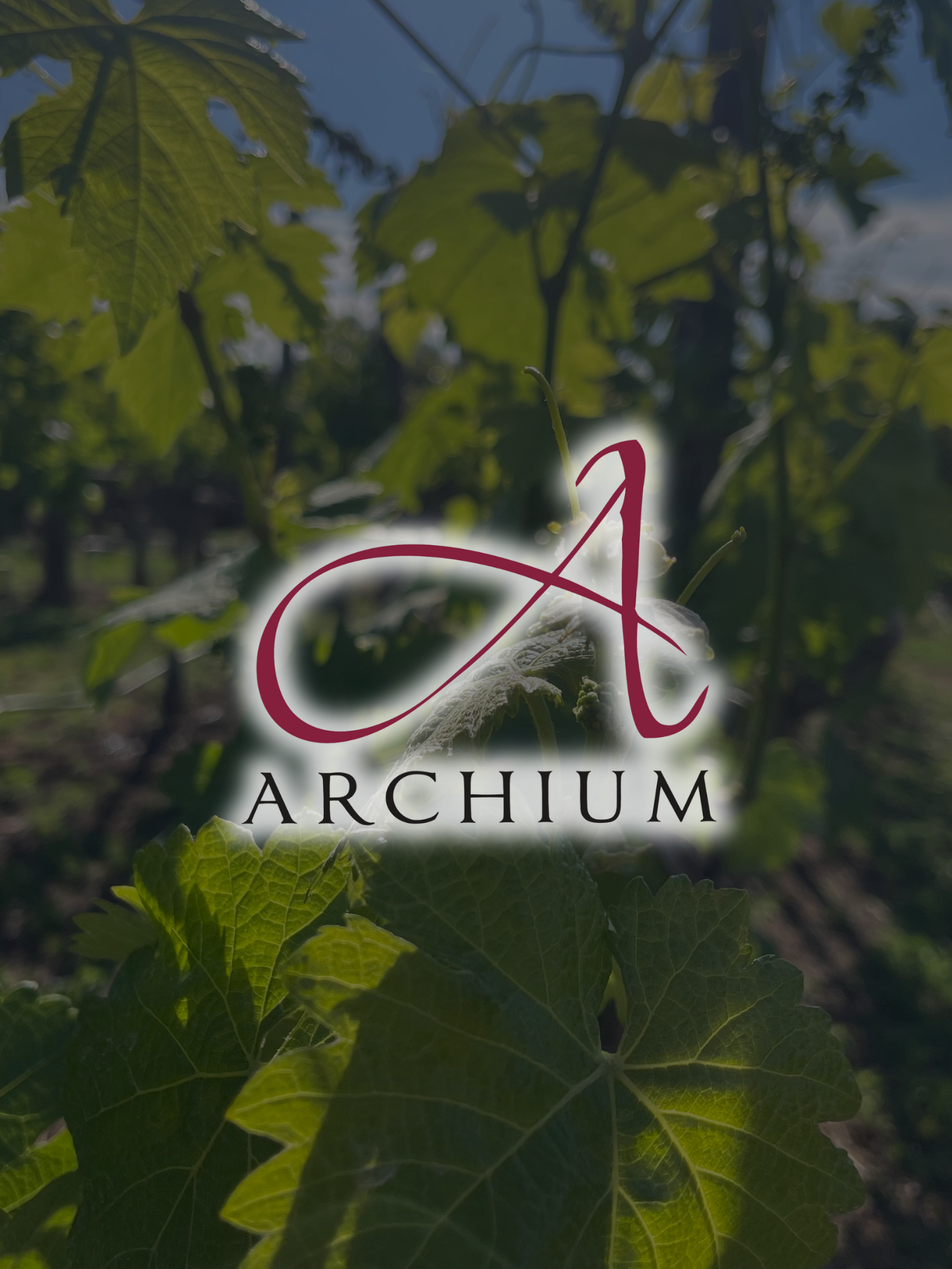 Archium Cellars