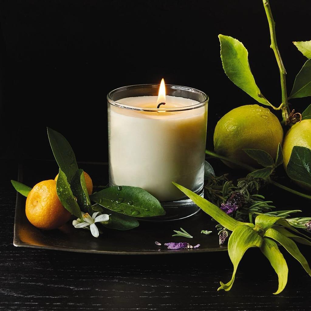 Aveda candles are back!! And just in time for some last minute Christmas shopping.. Available in Rosemary Mint and Shampure aroma 🕯️🙌🏽🌿 ⁠ #AvedaHair #AvedaSalon #VeganHair #VeganHairProducts #VeganHairCare #VeganHairProducts #SiliconeFree #VeganB