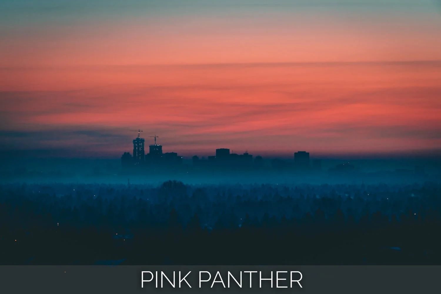 PINK+PANTHER_LABEL.jpg