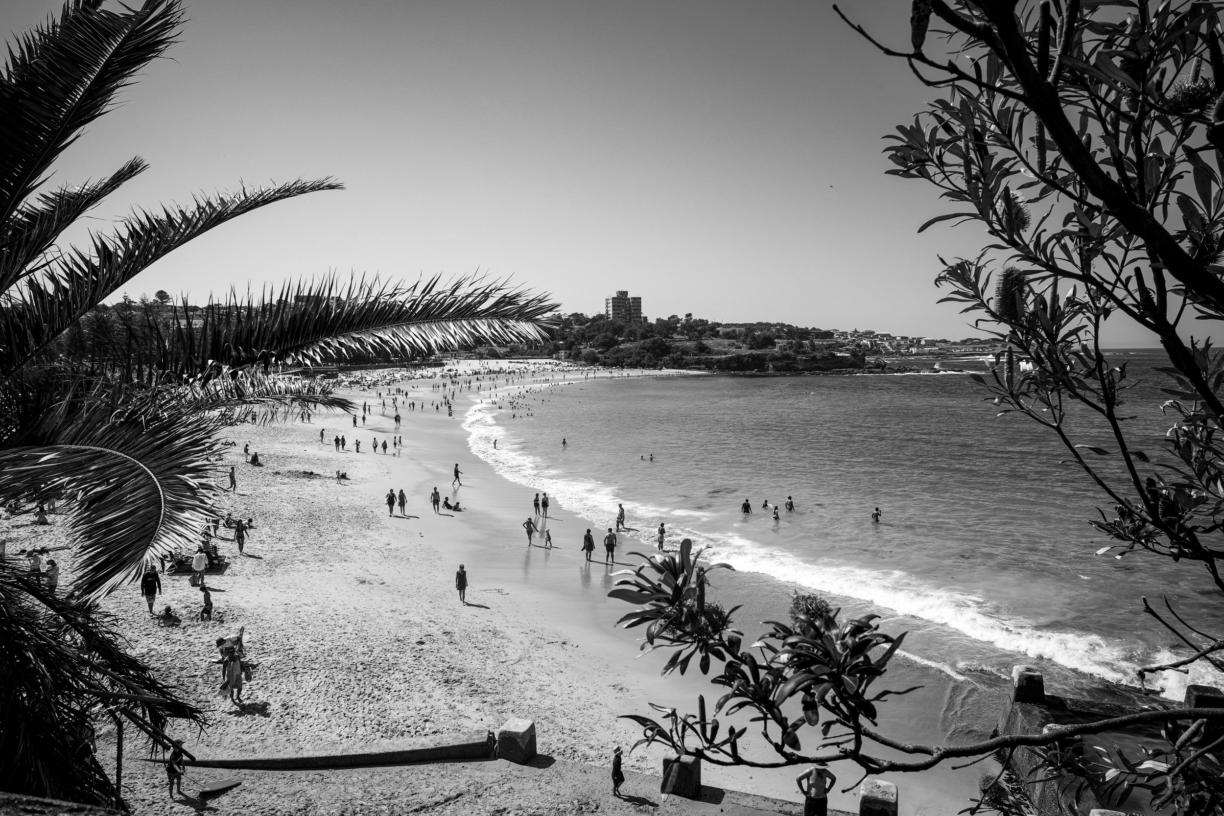 A Glimpse of Coogee Black and White