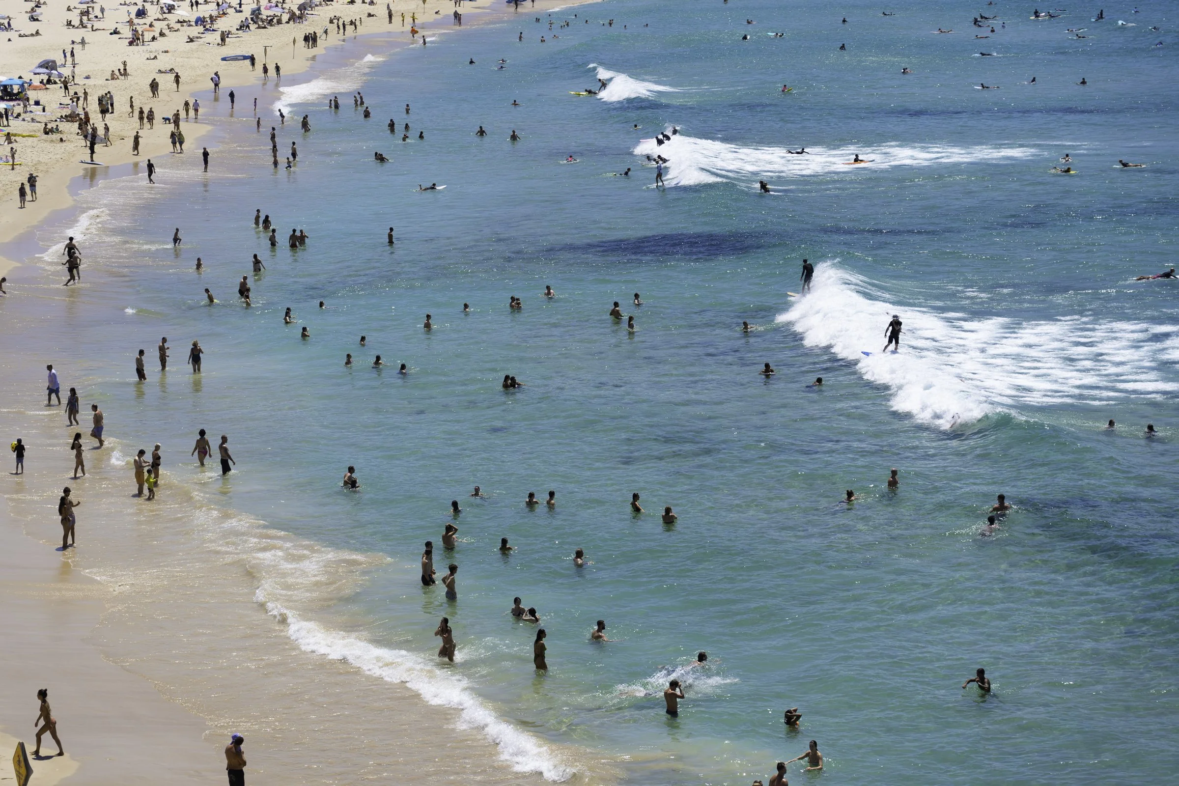 Bondi Waves
