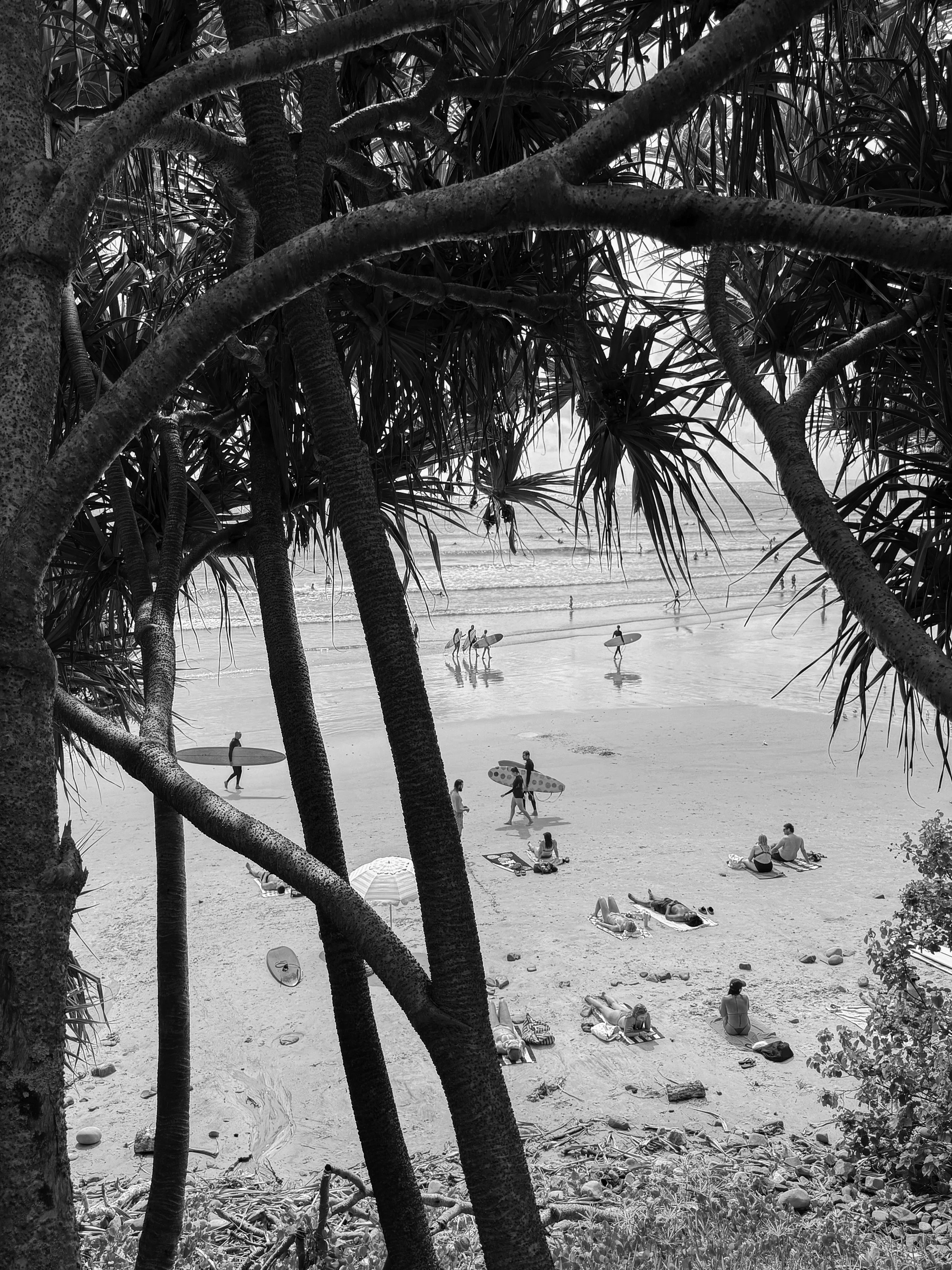 Longboards of Noosa