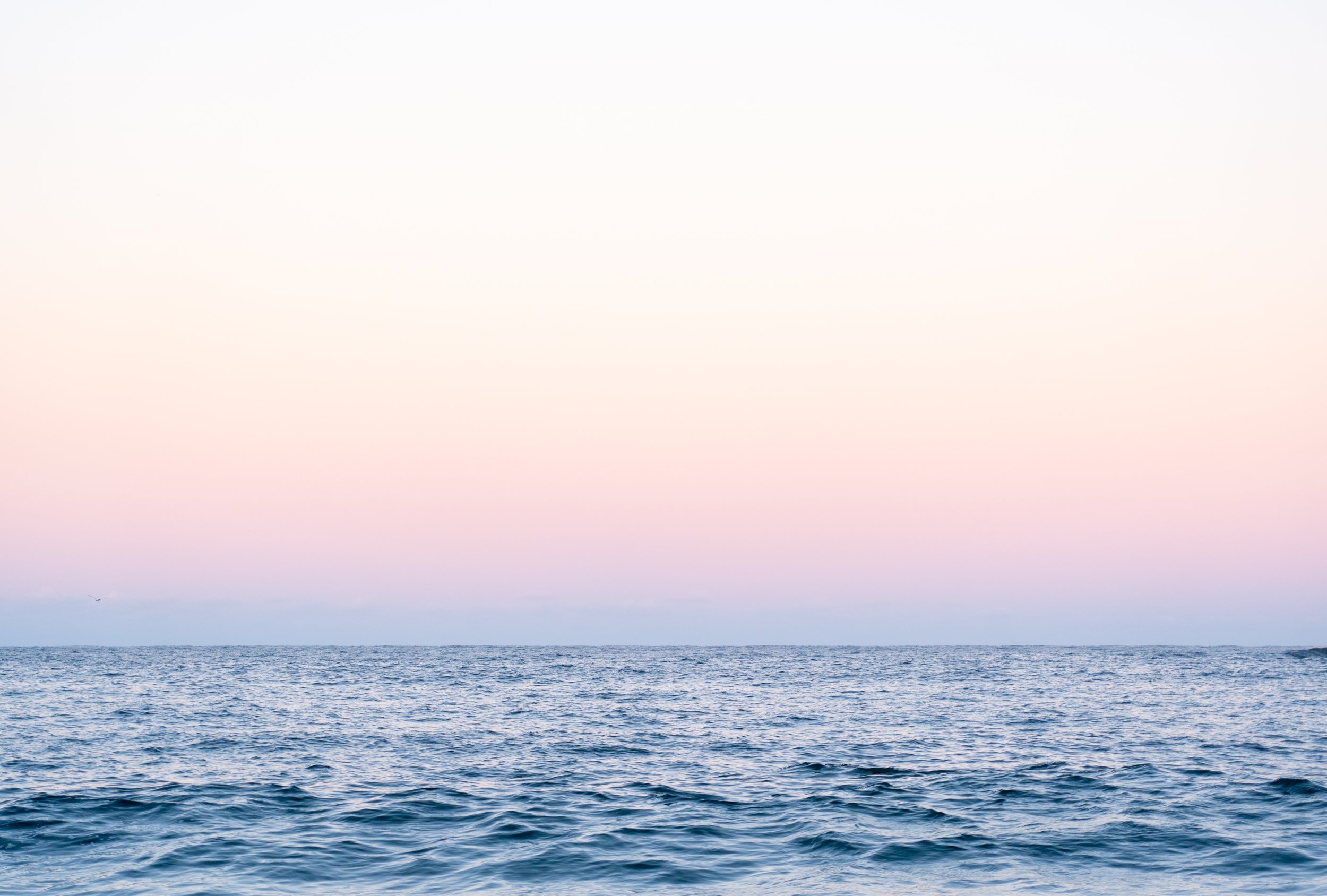 Coogee Twilight