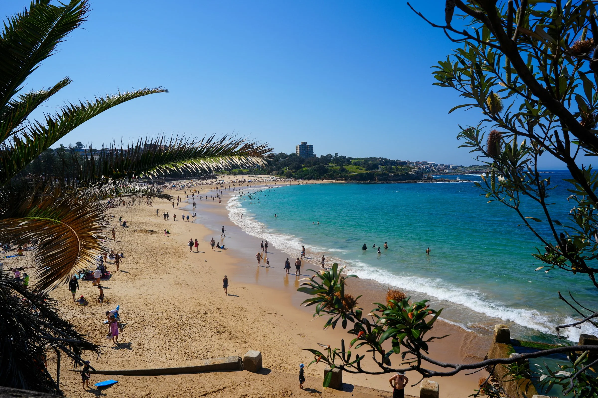 A Glimpse of Coogee.jpg