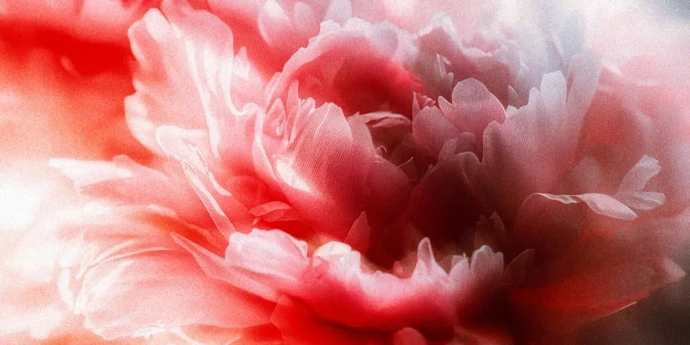 FEEL YOUR HEART: A Tantra-Inspired Active Breathwork & Guided Visualization Class