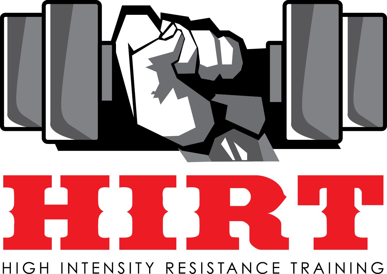 HIRT Systems