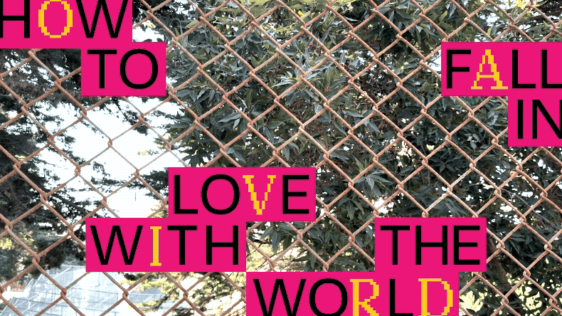 HOW TO FALL IN LOVE WITH THE WORLD