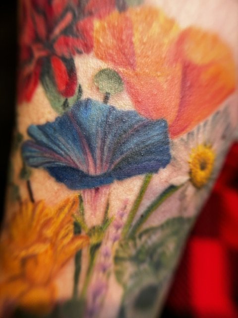 IMG_8161.jpeg