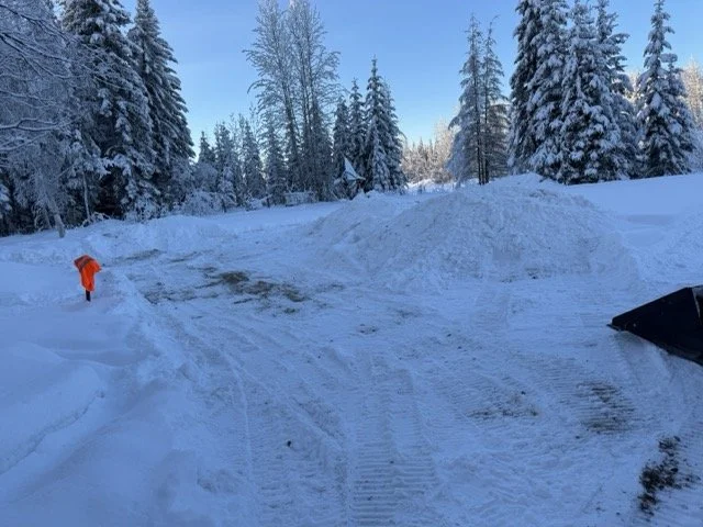 Snow-covered landscape with a forest of tall pine trees and a person in an orange jacket walking on a snow-covered path.