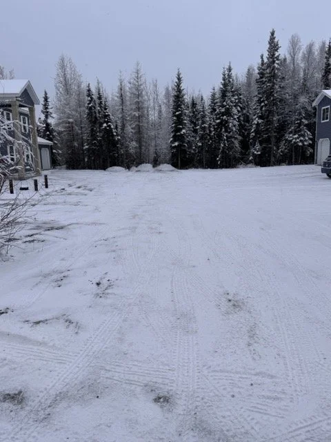 A snowy residential street lined with trees and houses, with tire tracks on the snow-covered road.