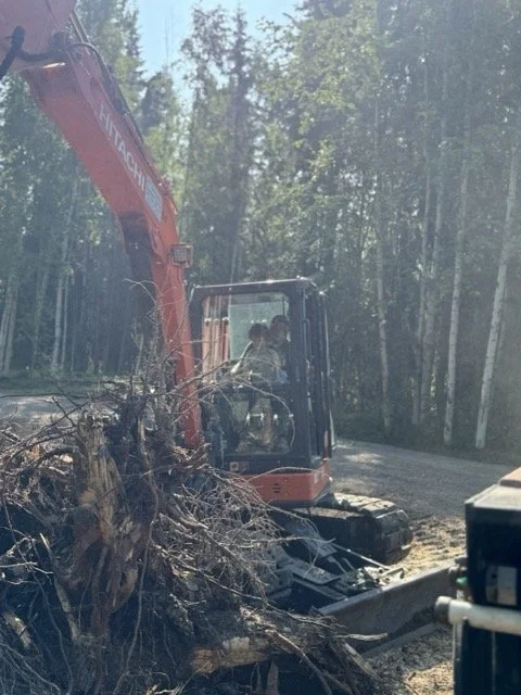 An excavator digging into a fallen tree in a wooded area with tall trees in the background.